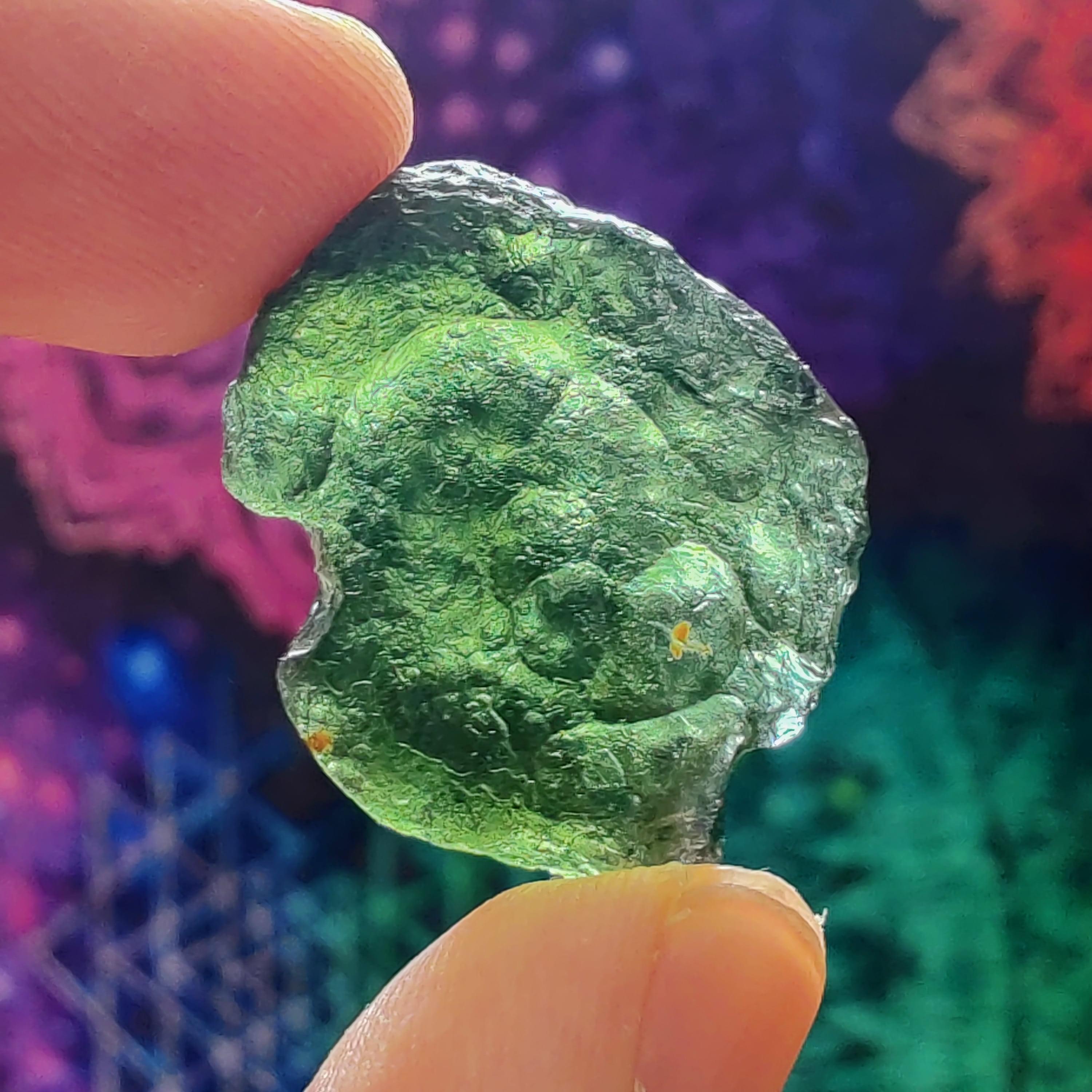 #143 Moldavite ∞ 6.8g - PrimalAlchemy