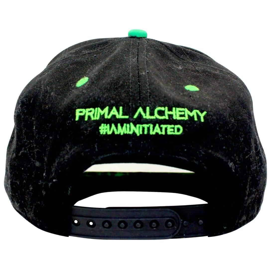 Primal Matrix Snapback - PrimalAlchemy