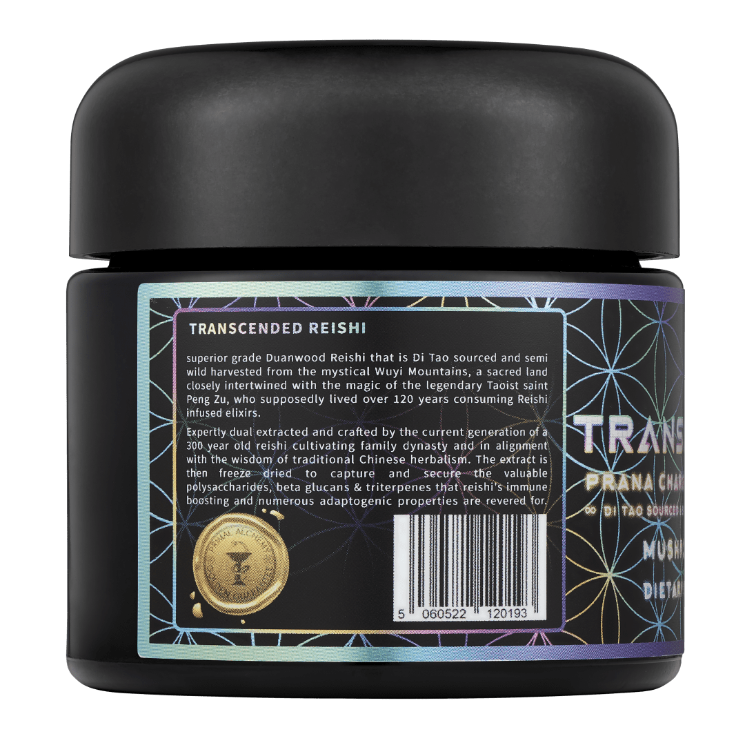 Transcended Reishi ∞ Mushroom of Immortality - PrimalAlchemy