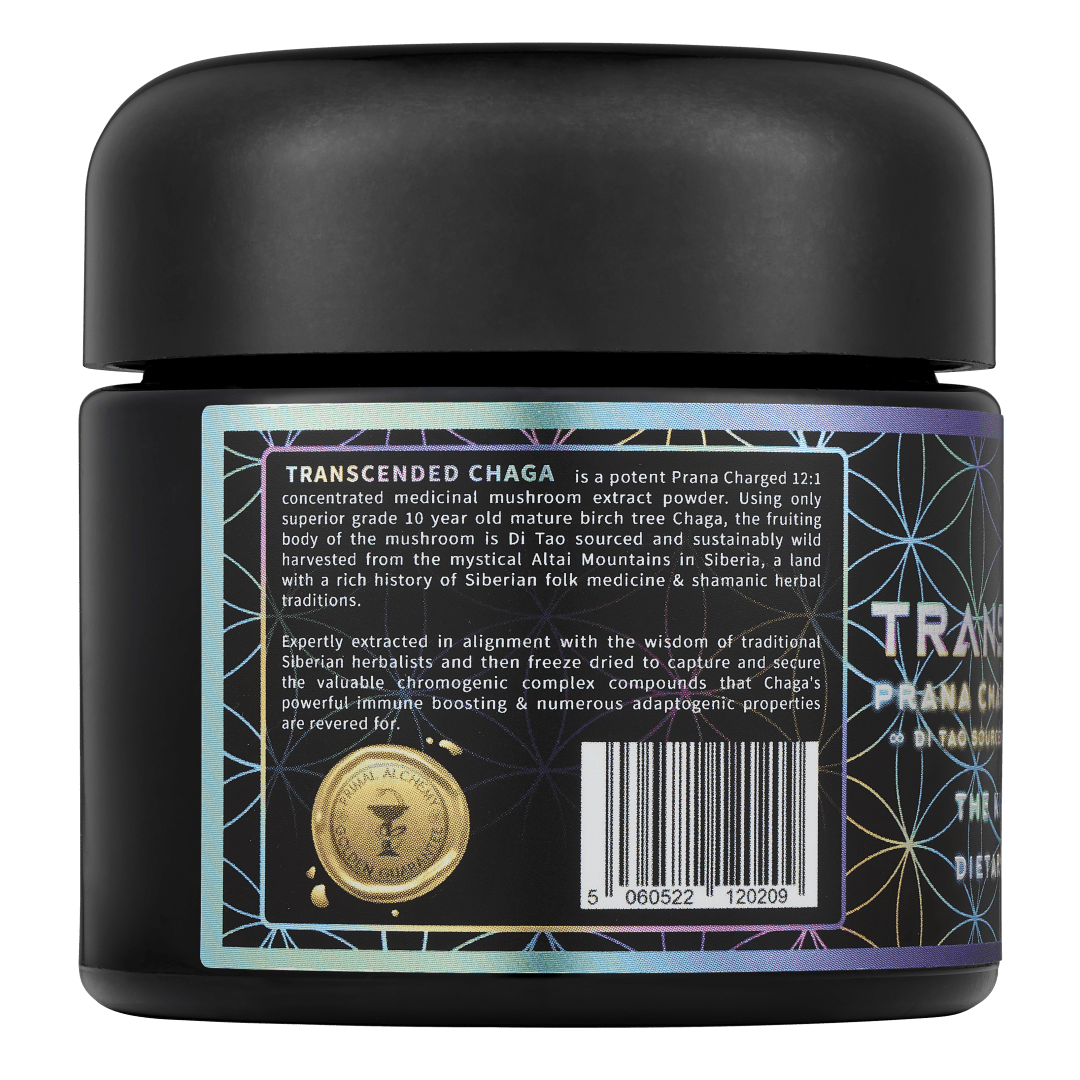 Transcended Chaga ∞ The King of all Mushrooms - PrimalAlchemy