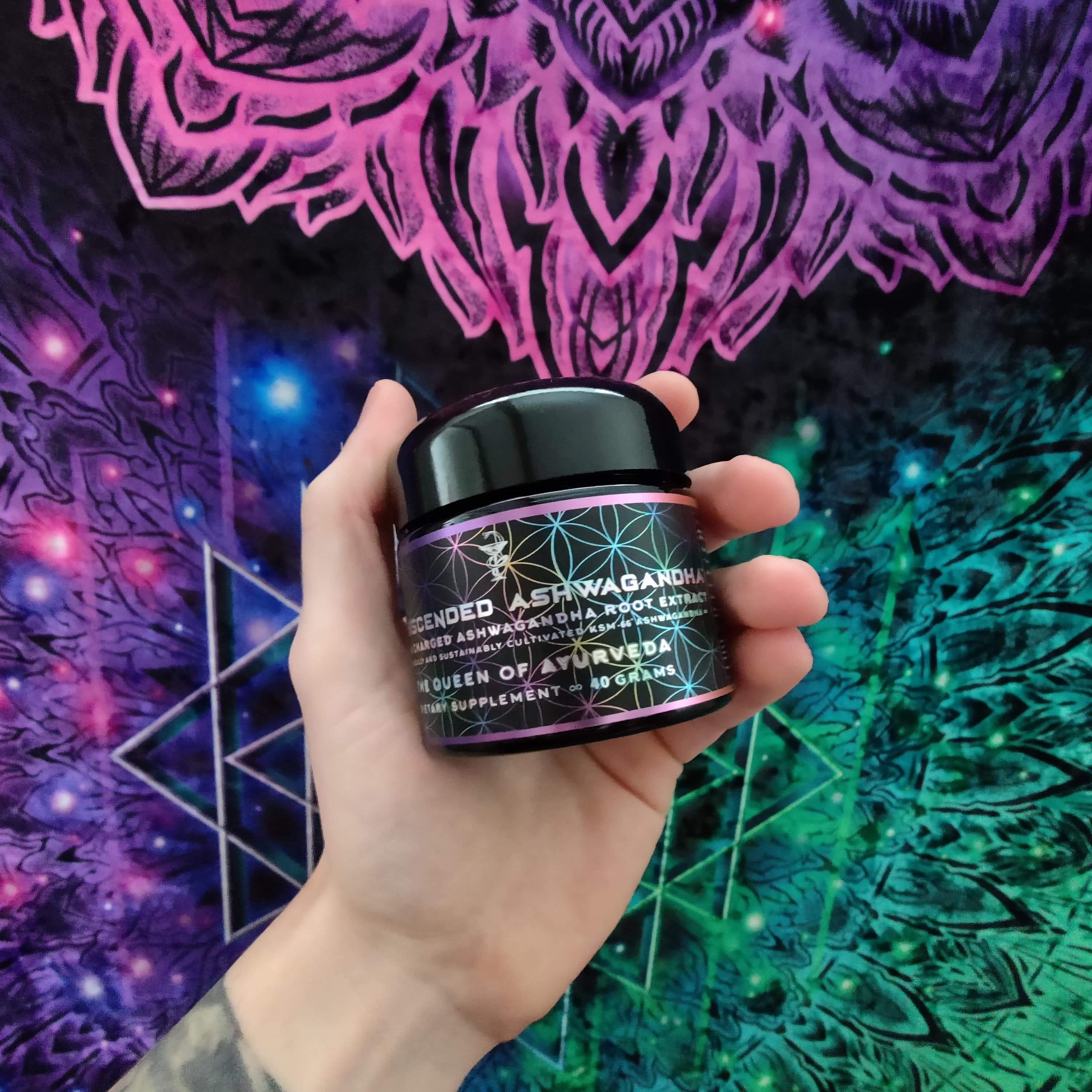 The Cognitive Rewire Pack - PrimalAlchemy