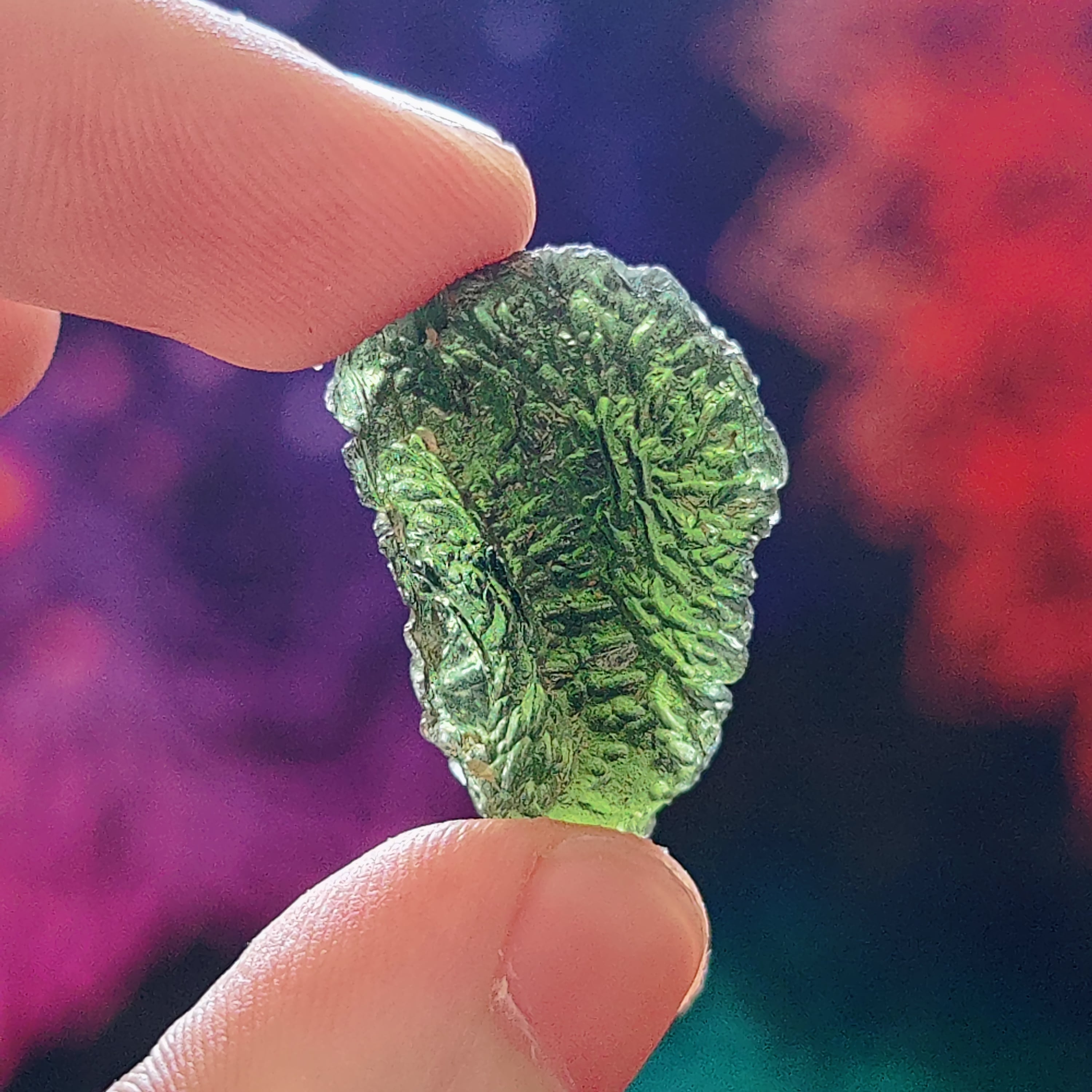 #72 Moldavite ∞ 8.1g - PrimalAlchemy