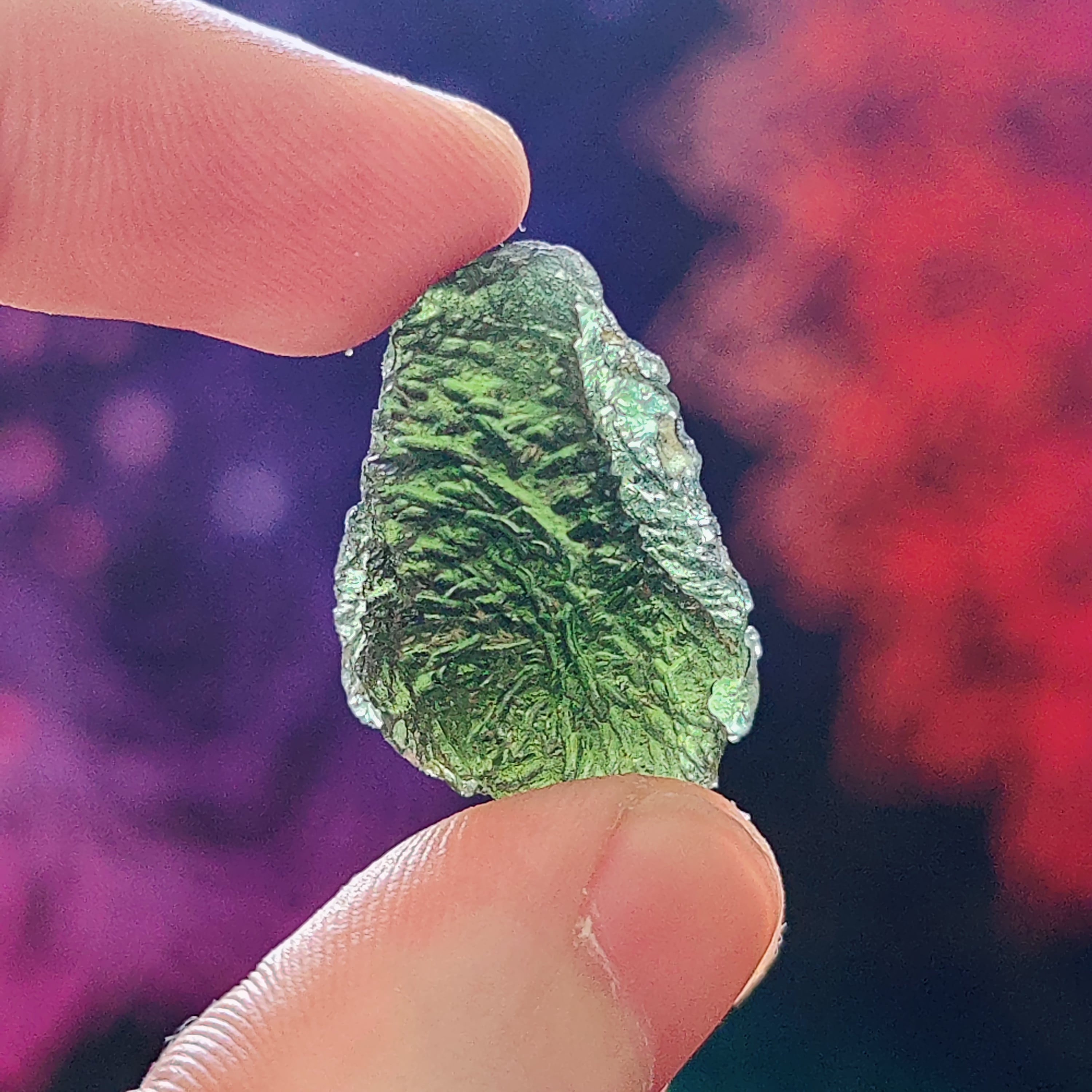 #72 Moldavite ∞ 8.1g - PrimalAlchemy