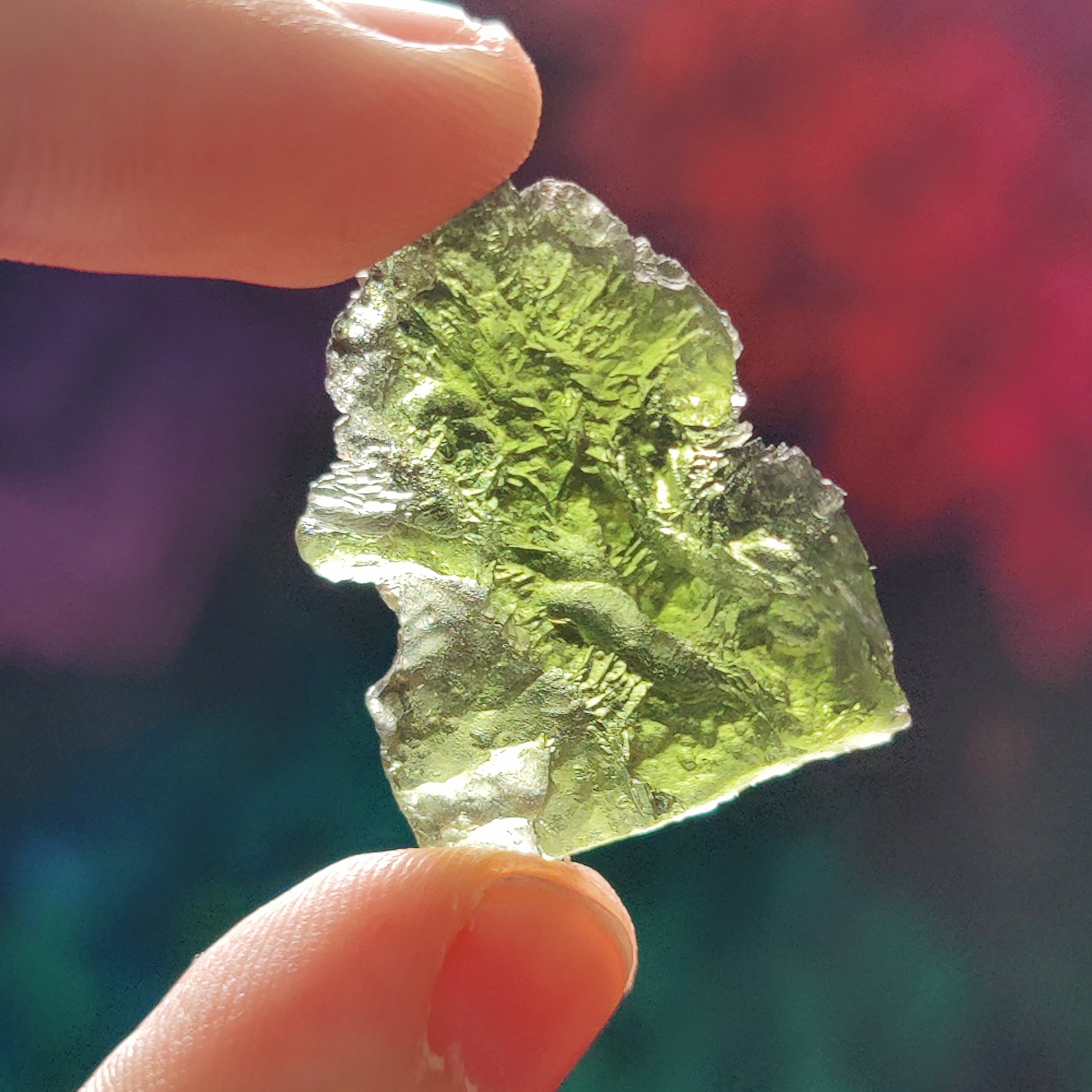 #88 Moldavite ∞ 5.9g - PrimalAlchemy