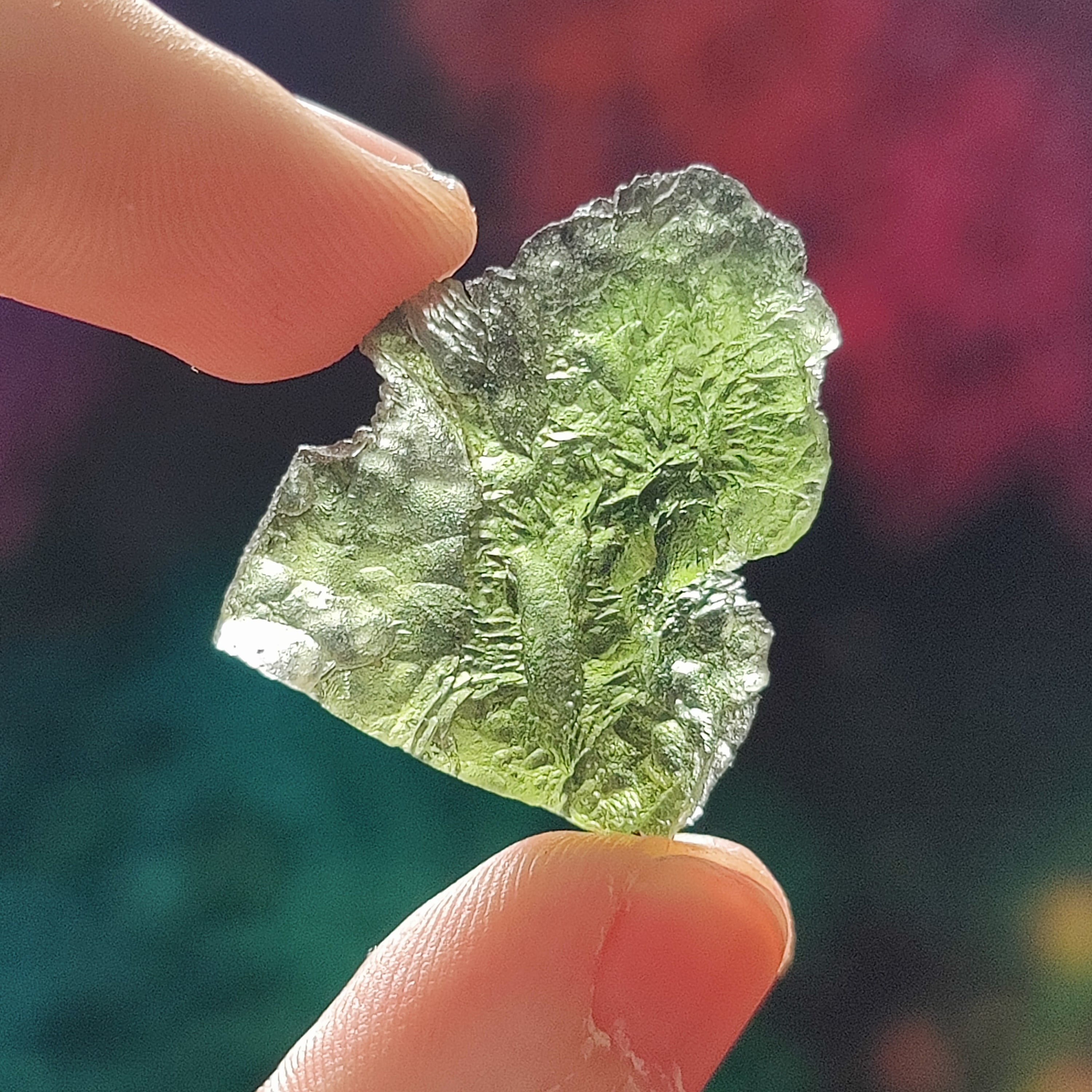 #88 Moldavite ∞ 5.9g - PrimalAlchemy