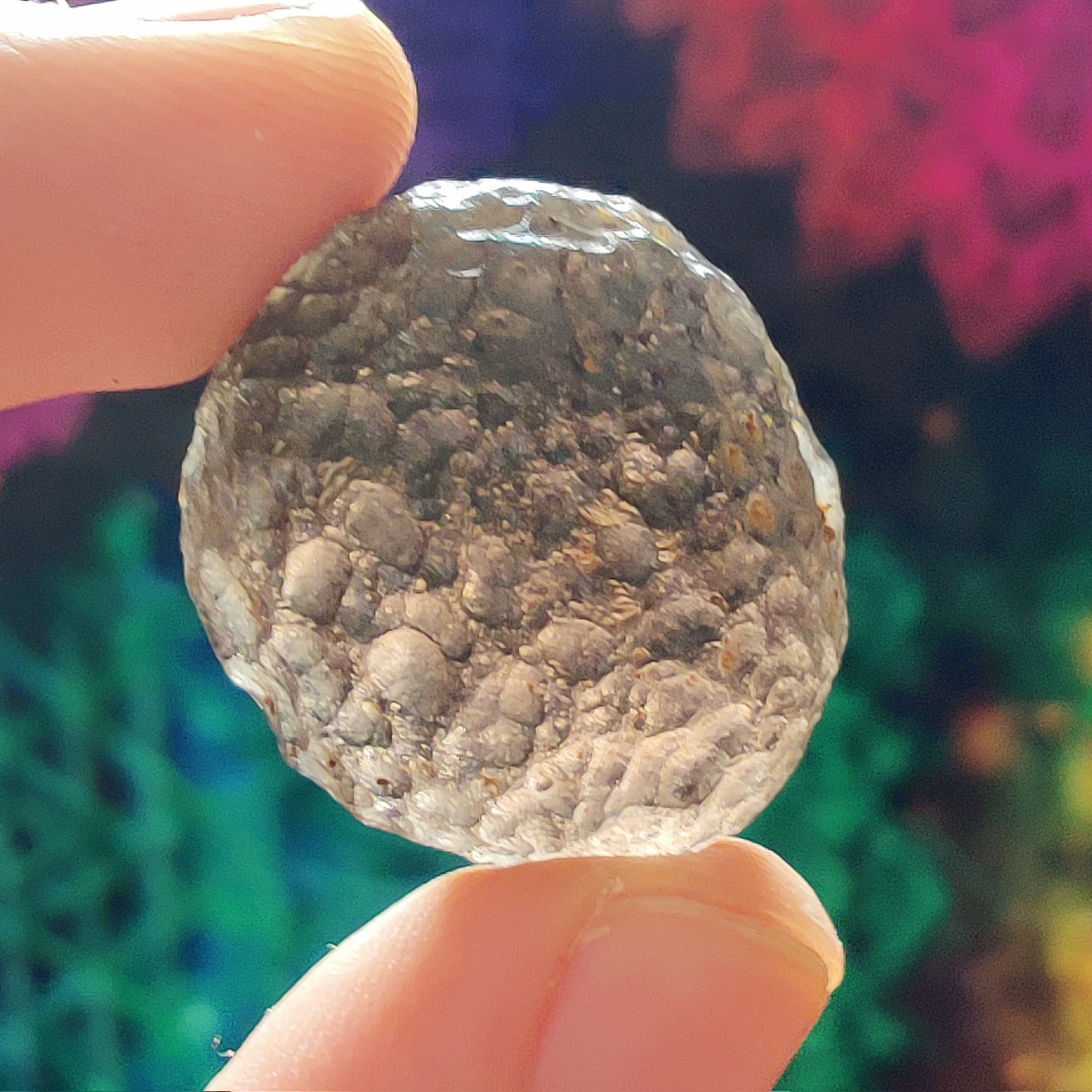 #147 Colombianite ∞ 10.7g - PrimalAlchemy