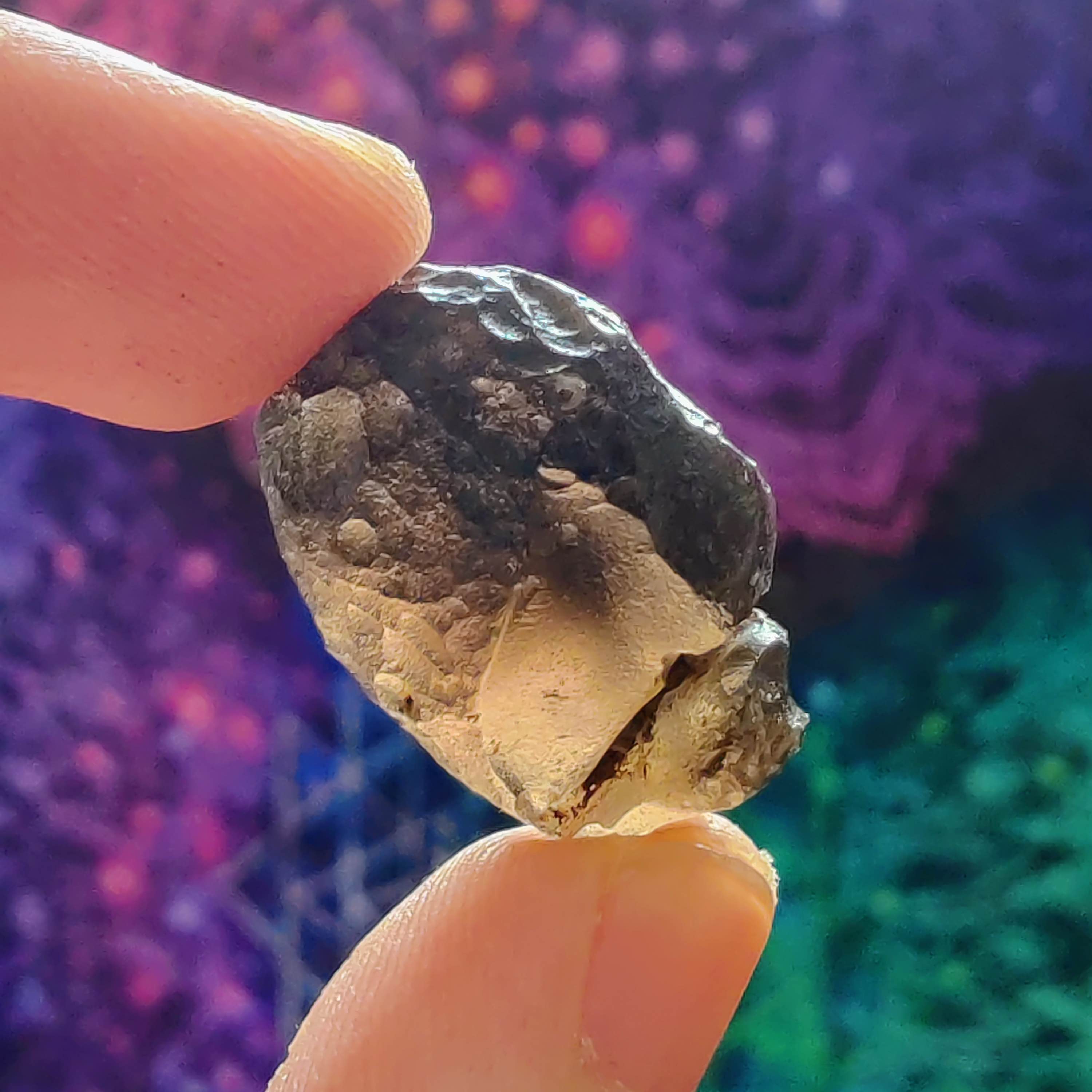 #149 Colombianite ∞ 8.9g - PrimalAlchemy