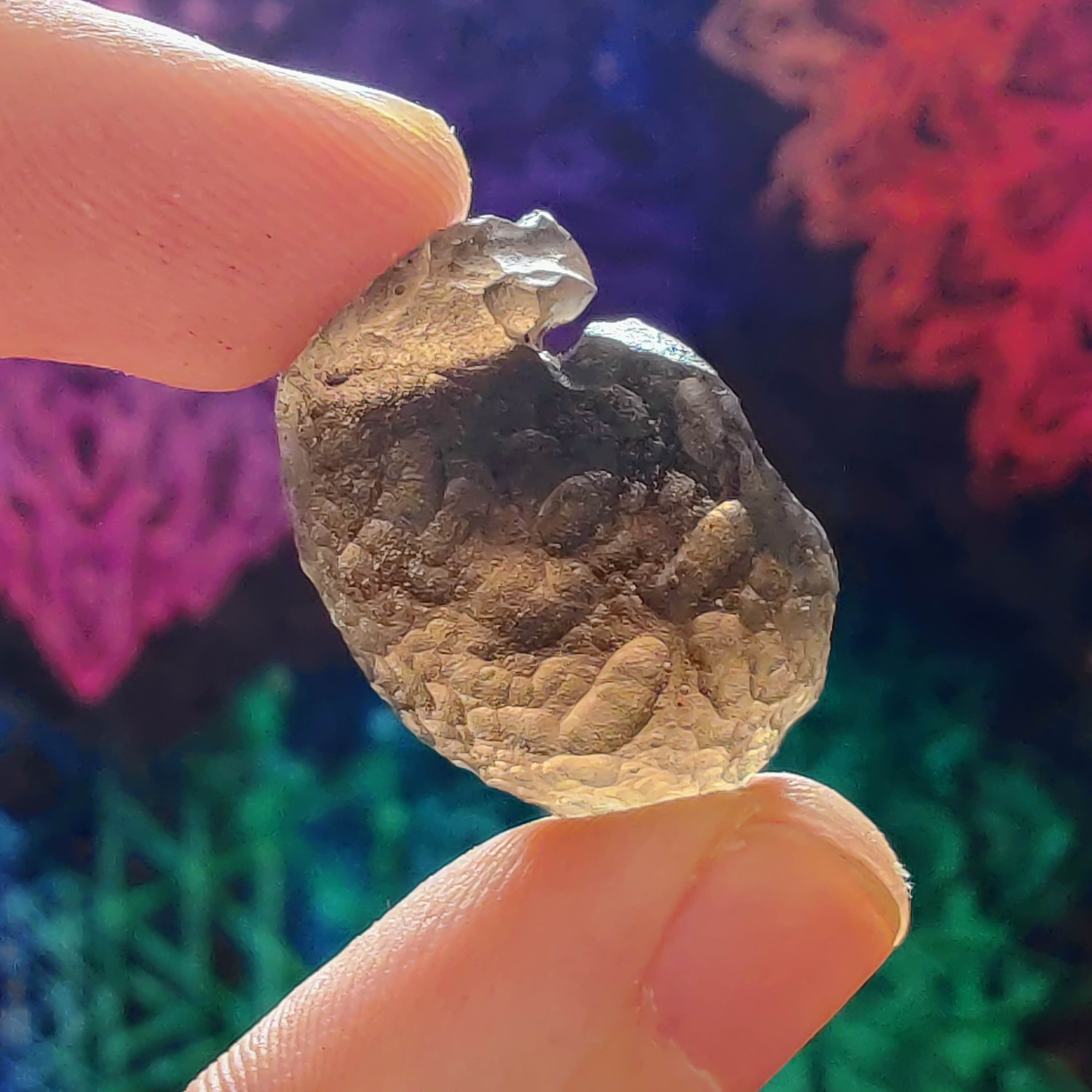 #149 Colombianite ∞ 8.9g - PrimalAlchemy