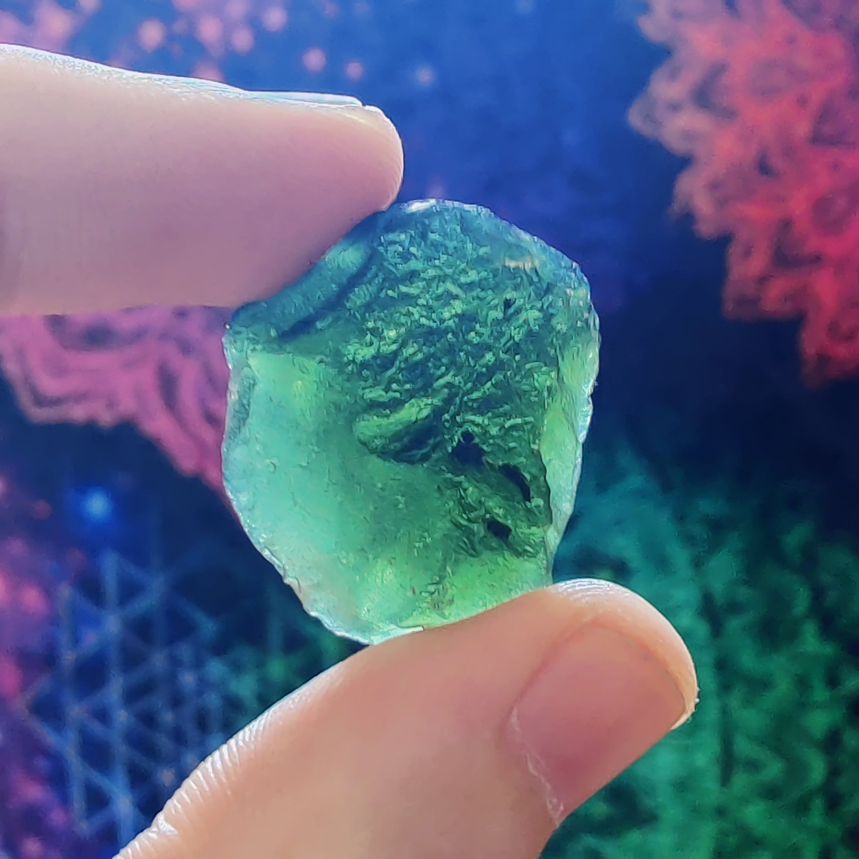 #161 Moldavite ∞ 8.1g - PrimalAlchemy