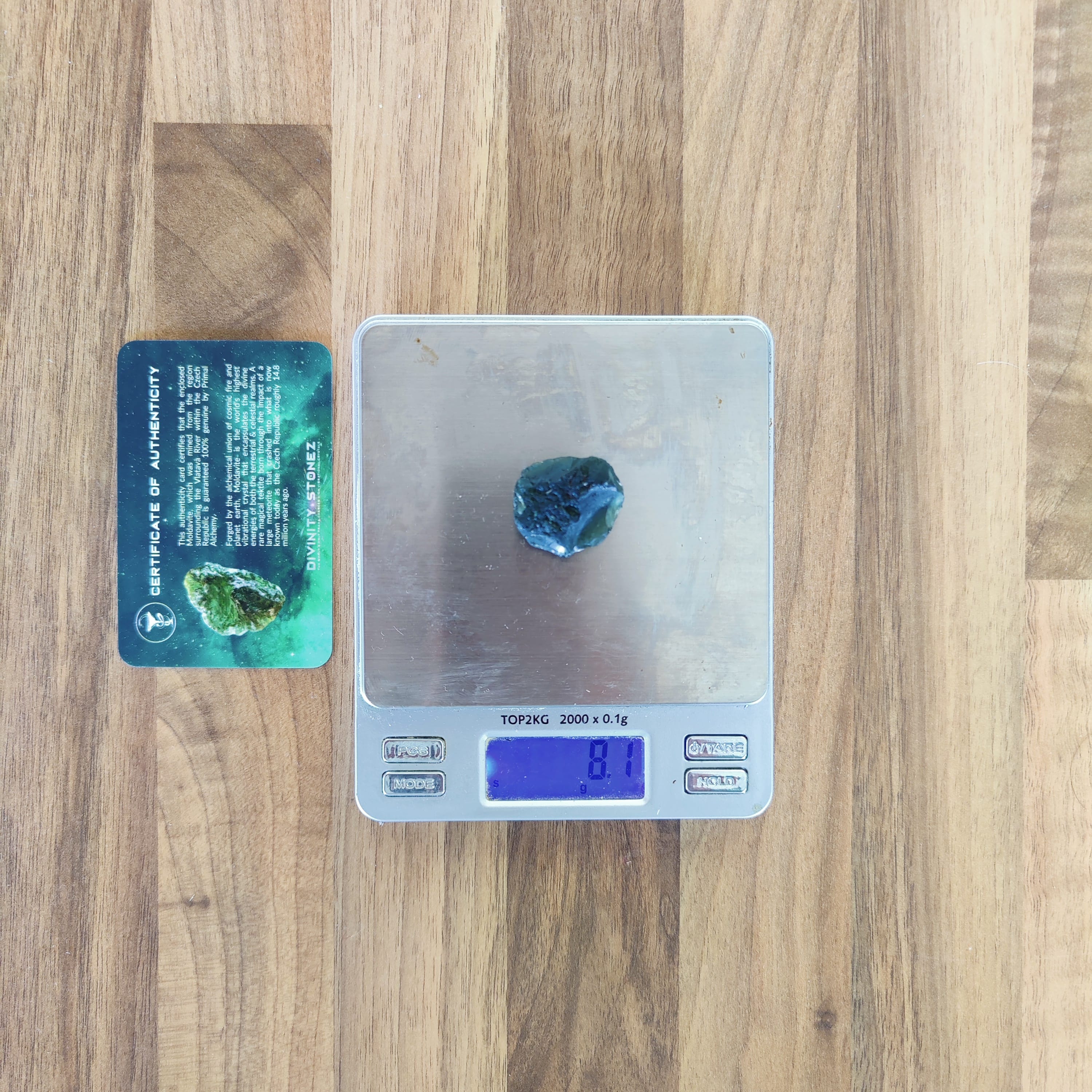 #161 Moldavite ∞ 8.1g - PrimalAlchemy