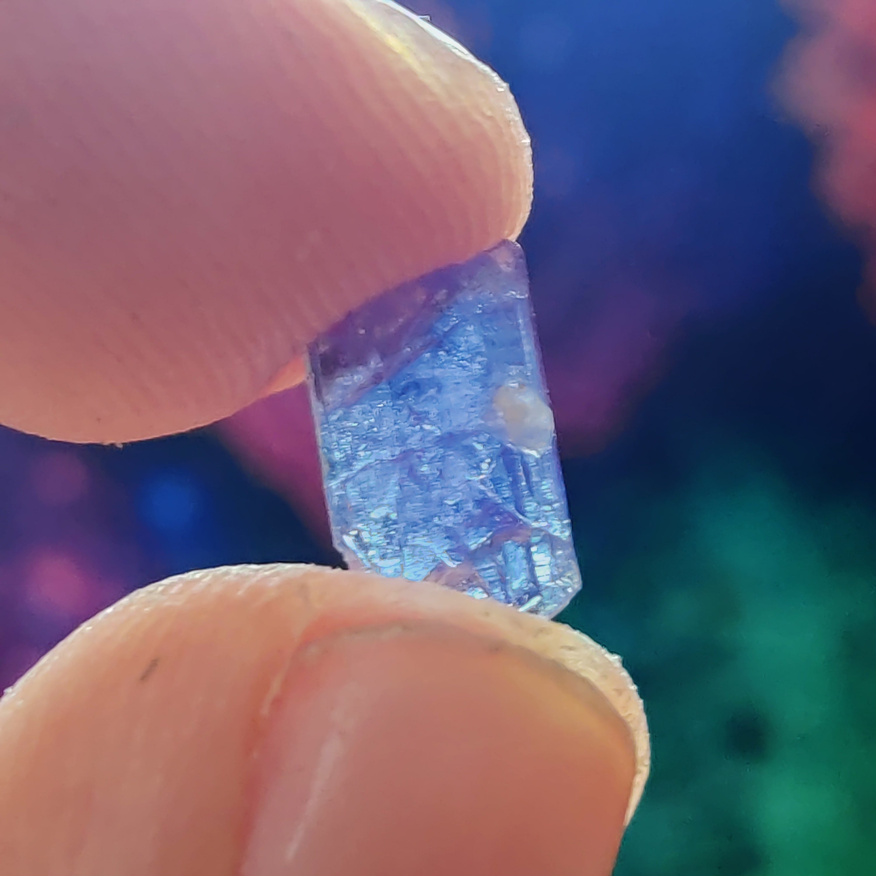 #176 Tanzanite ∞ 0.4g - PrimalAlchemy