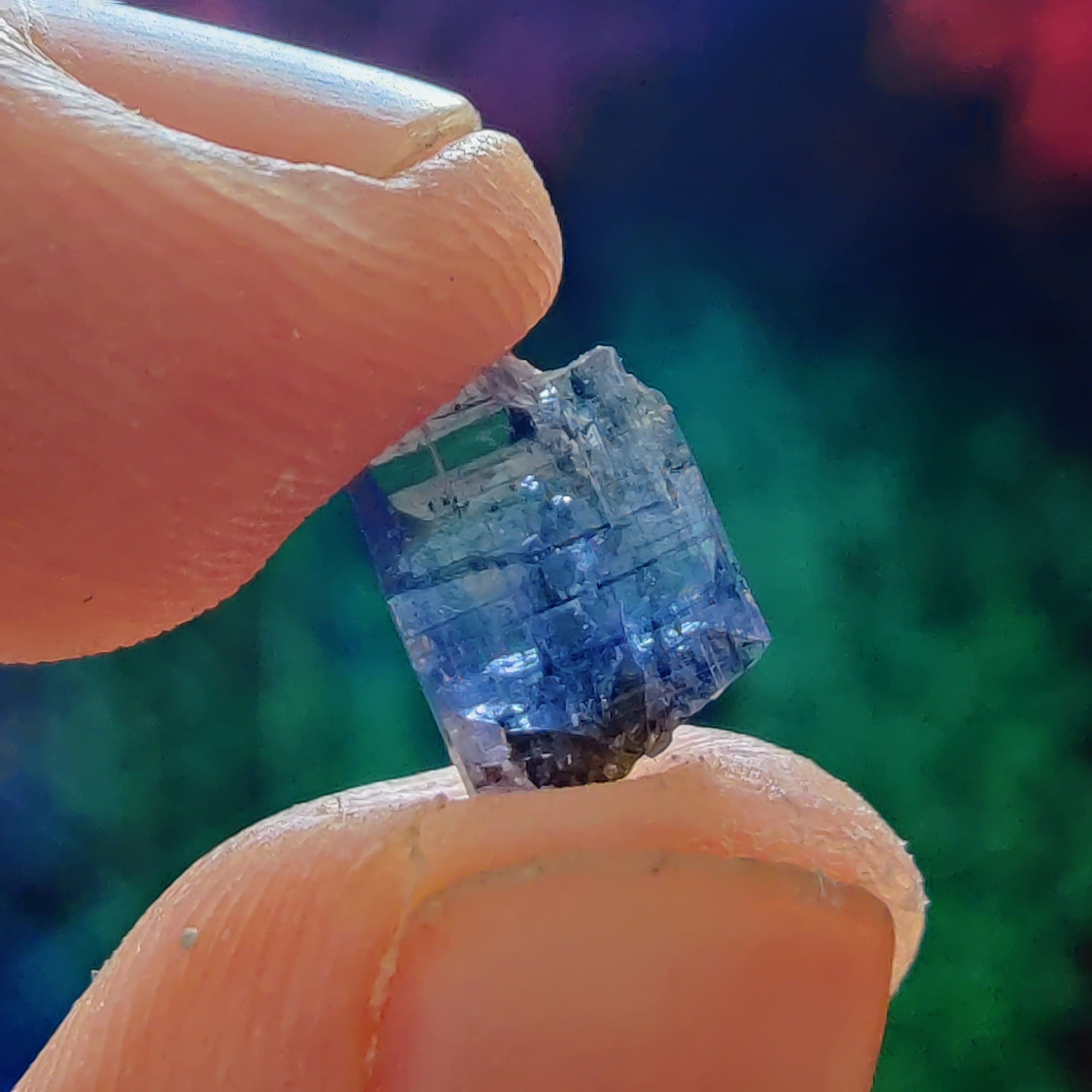 #177 Tanzanite ∞ 0.5g - PrimalAlchemy