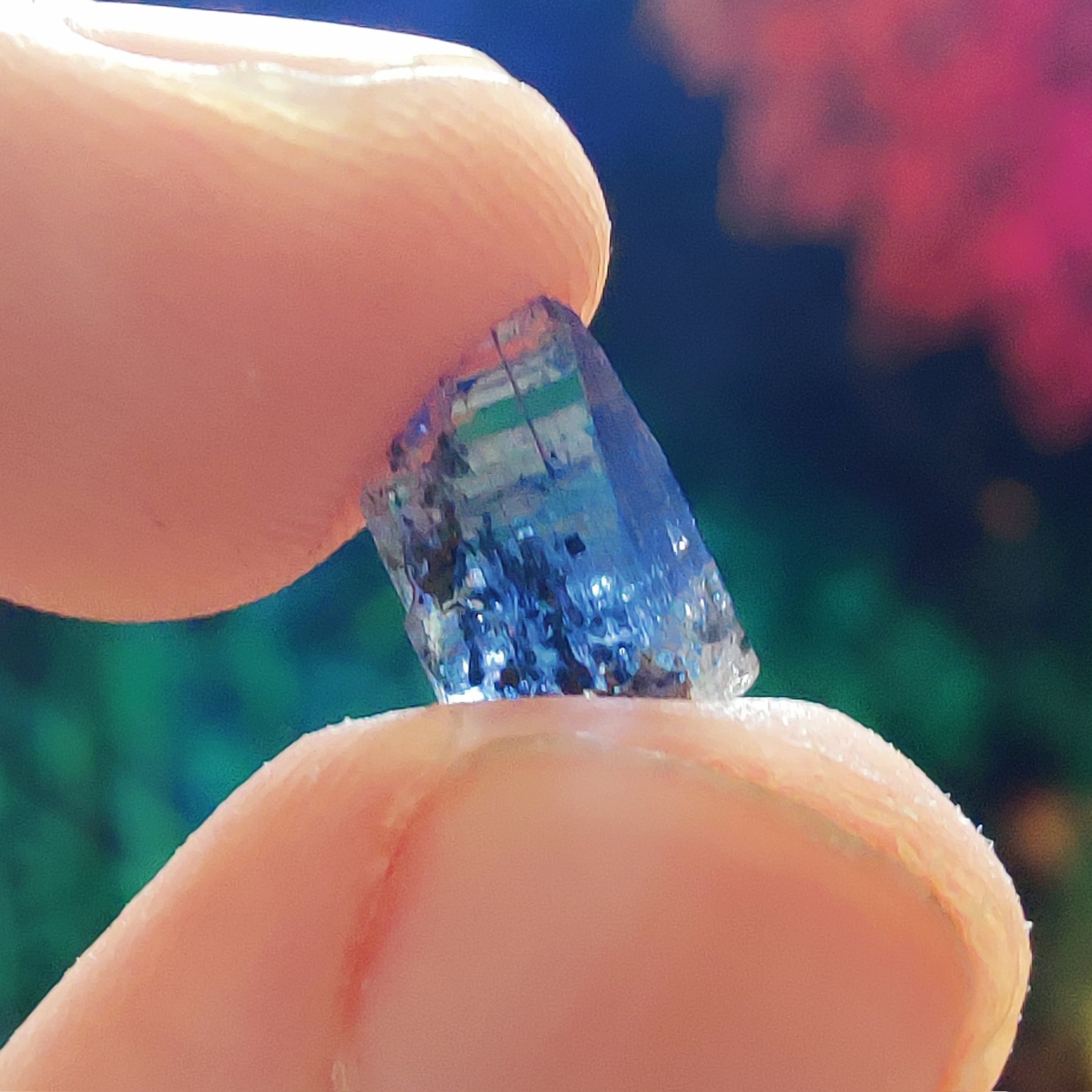 #177 Tanzanite ∞ 0.5g - PrimalAlchemy