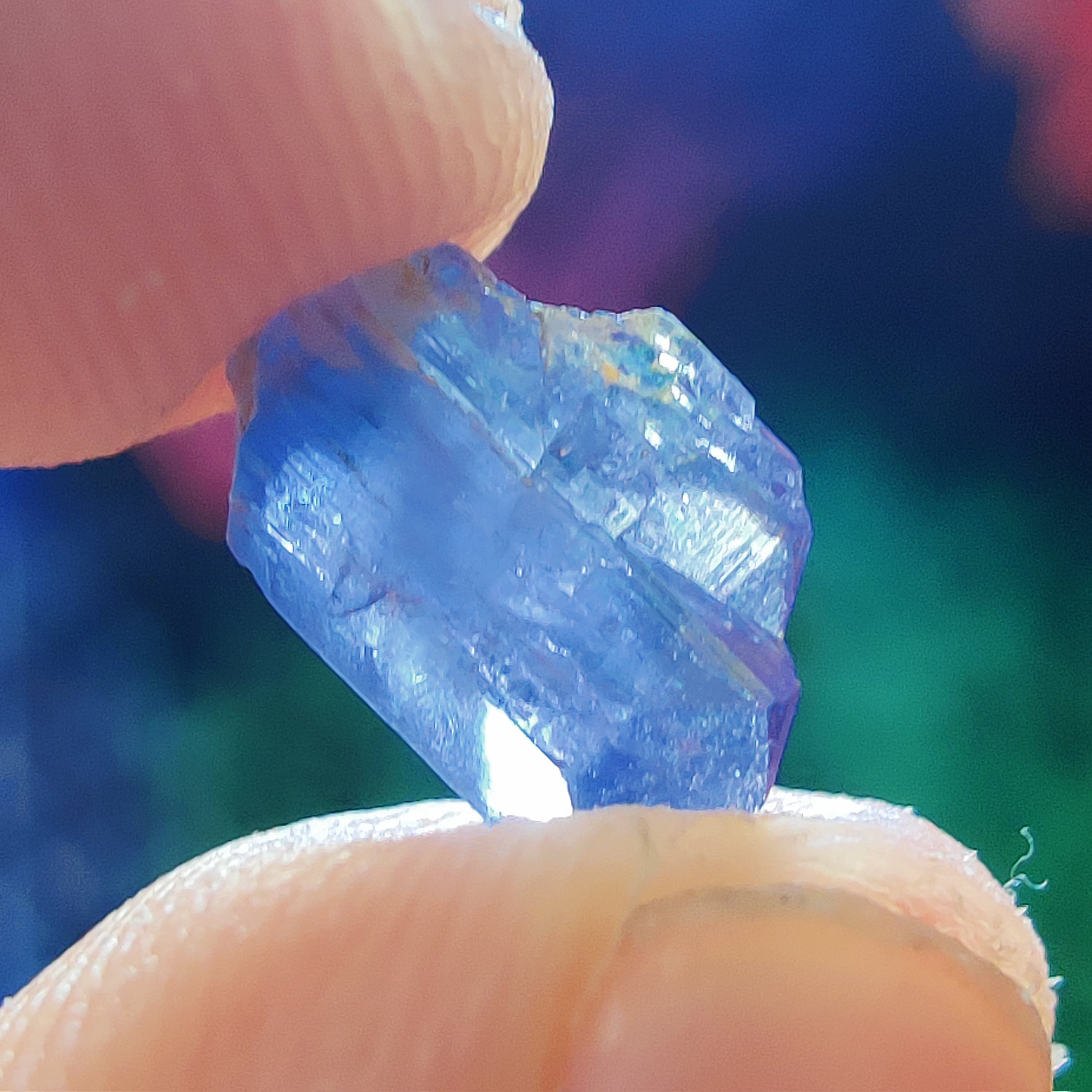 #179 Tanzanite ∞ 0.6g - PrimalAlchemy
