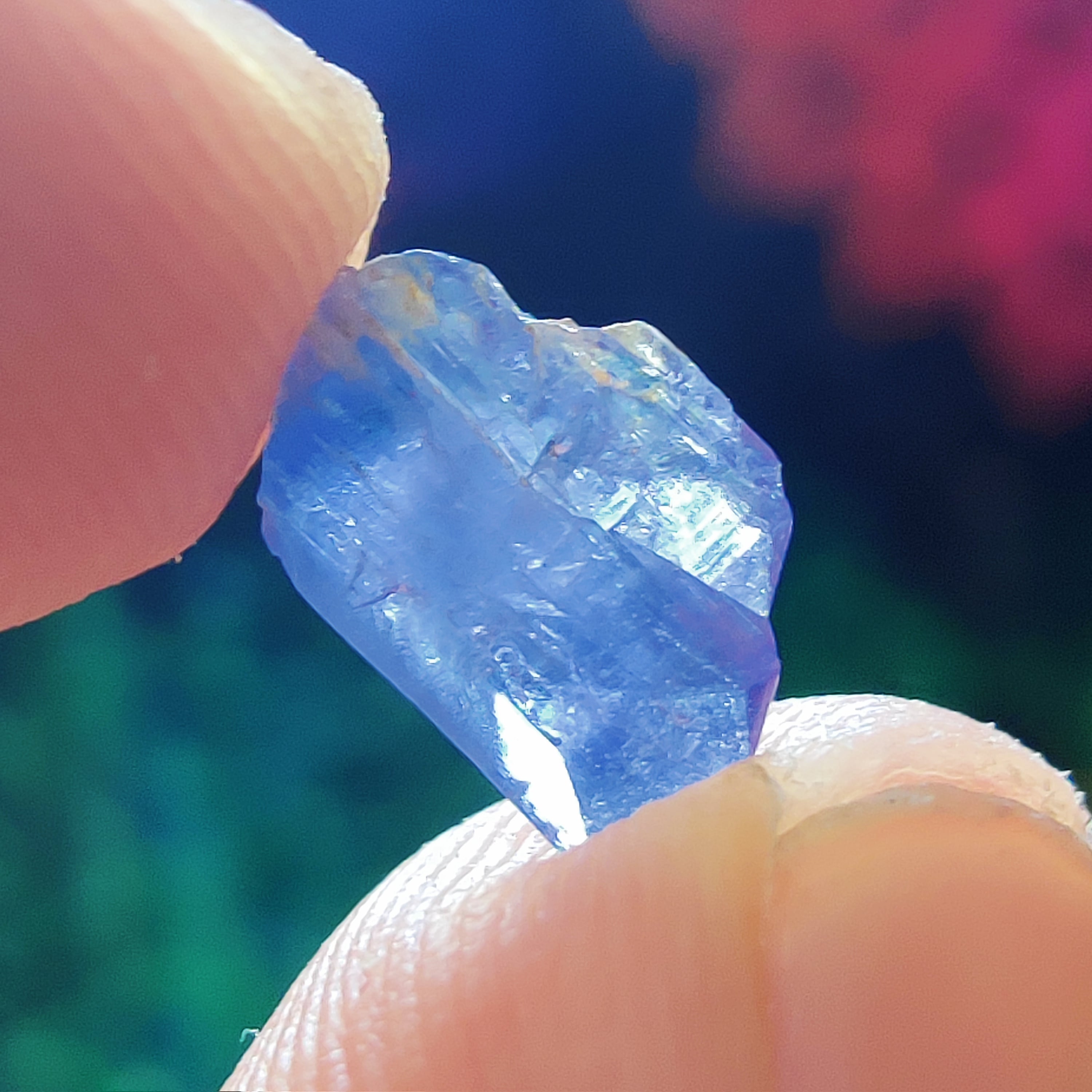 #179 Tanzanite ∞ 0.6g - PrimalAlchemy