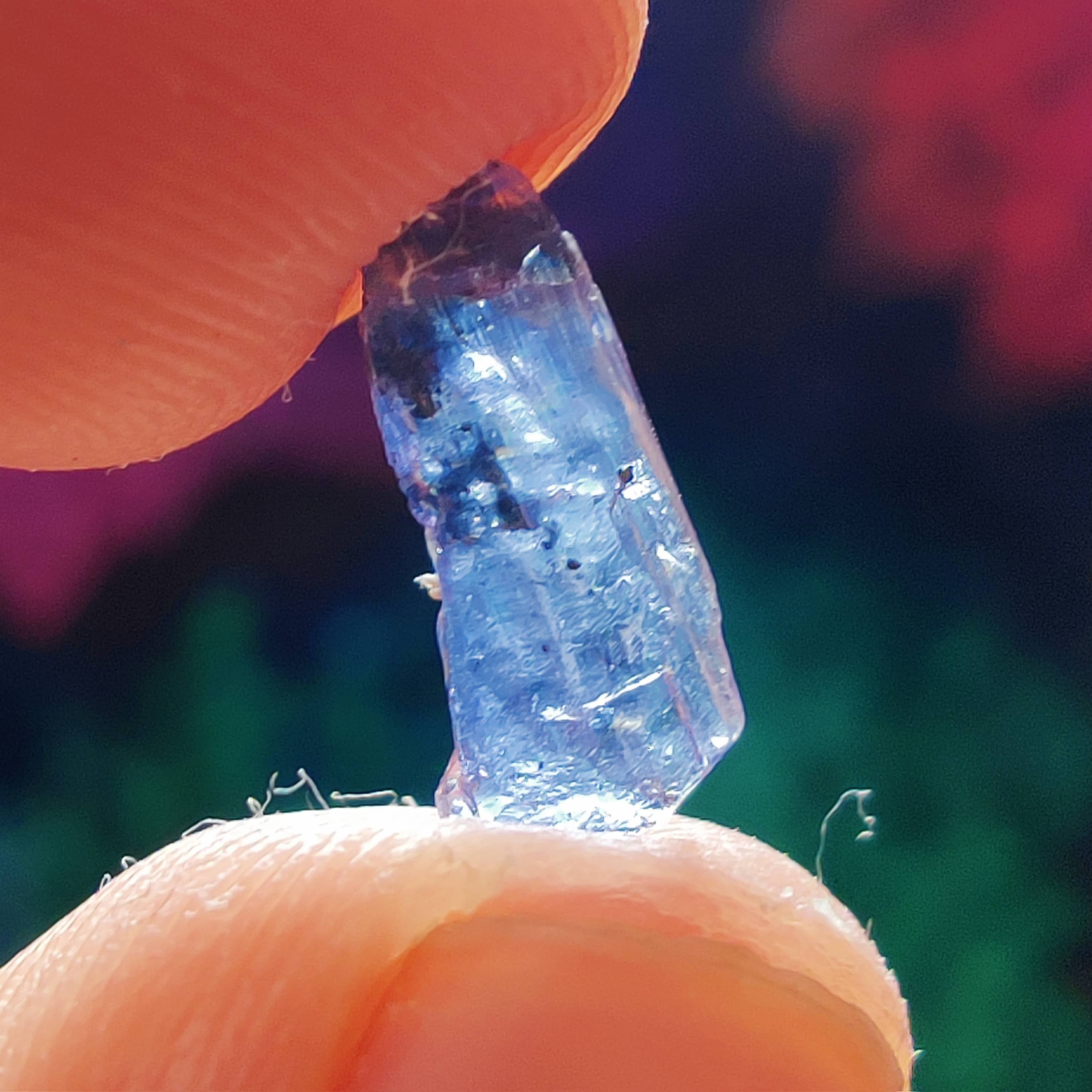 #192 Tanzanite ∞ 0.4g - PrimalAlchemy