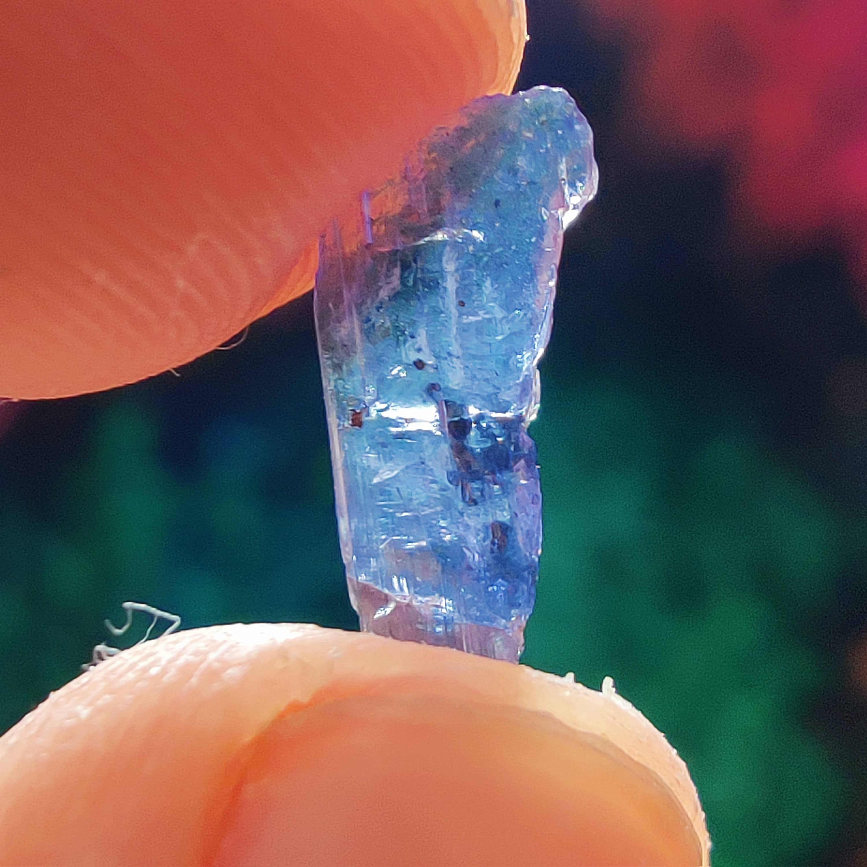 #192 Tanzanite ∞ 0.4g - PrimalAlchemy