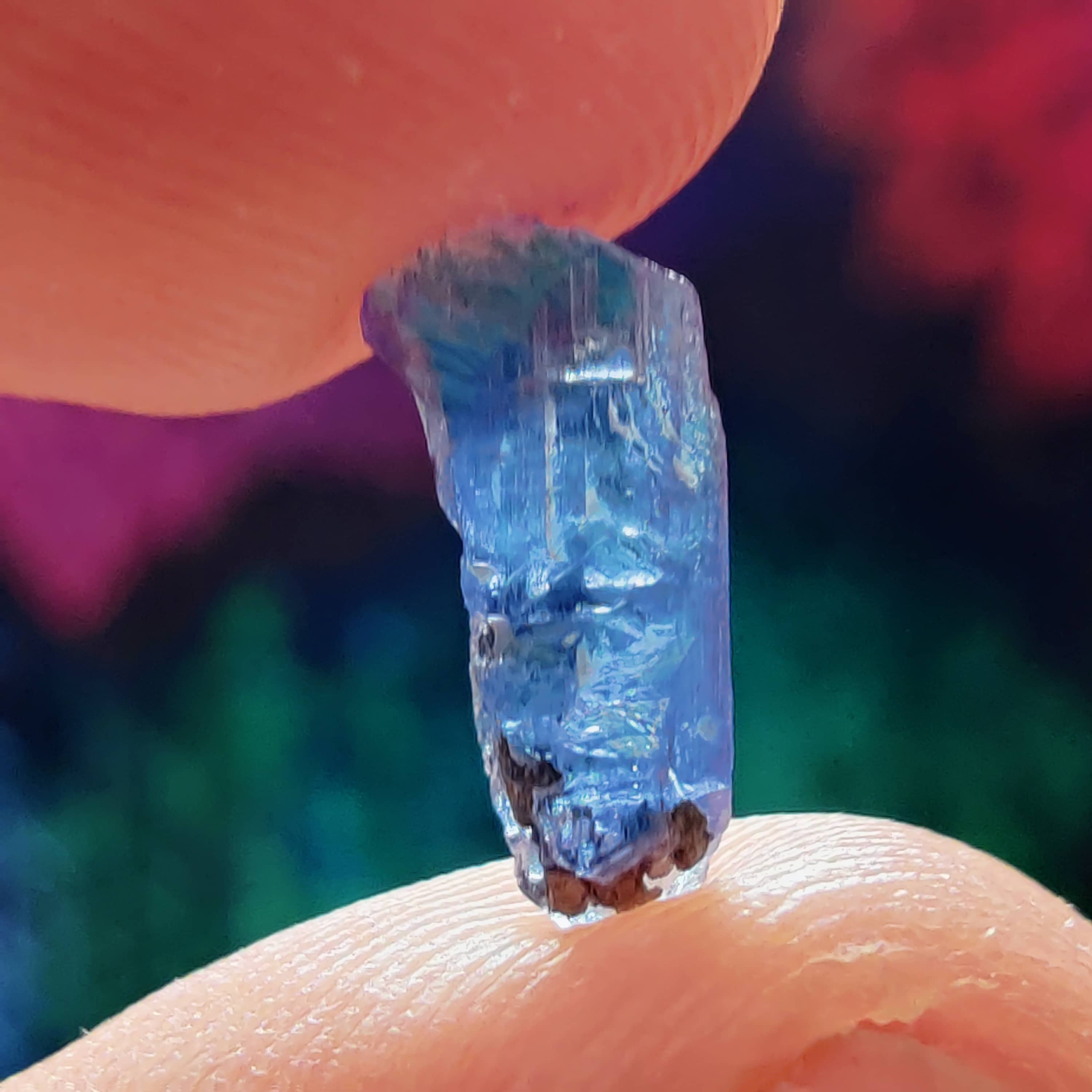 #192 Tanzanite ∞ 0.4g - PrimalAlchemy