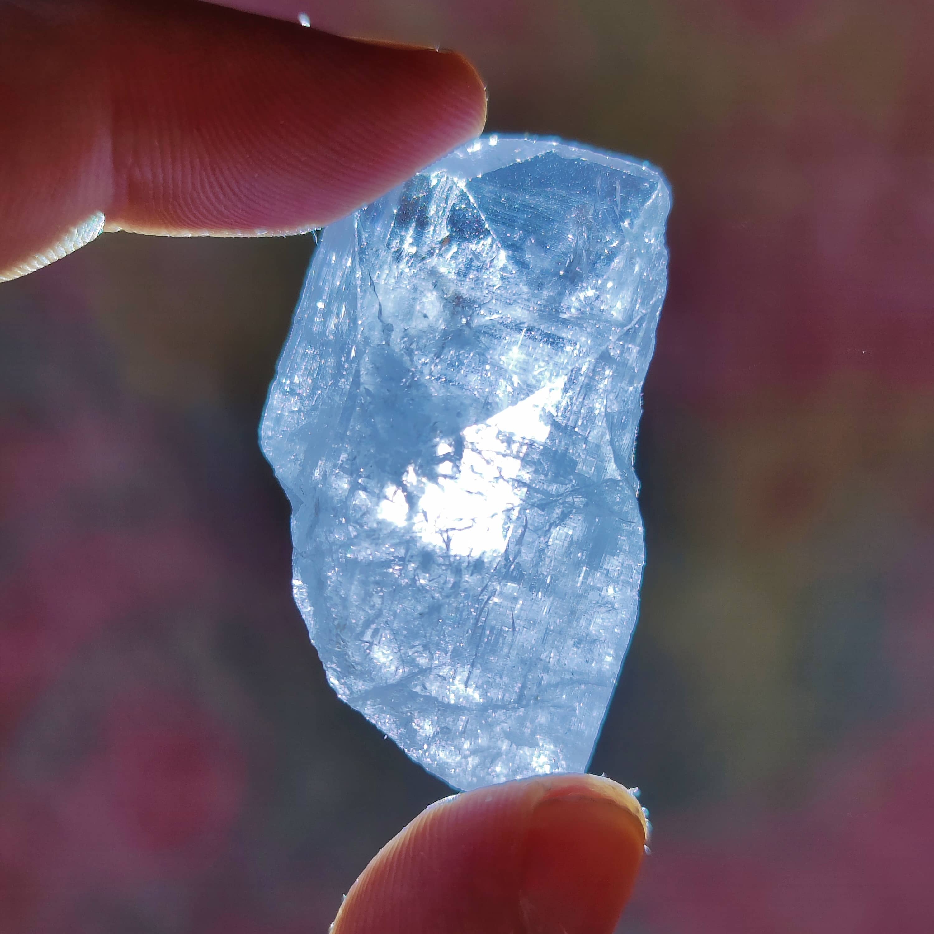 #195 Danburite ∞ 21.2g - PrimalAlchemy