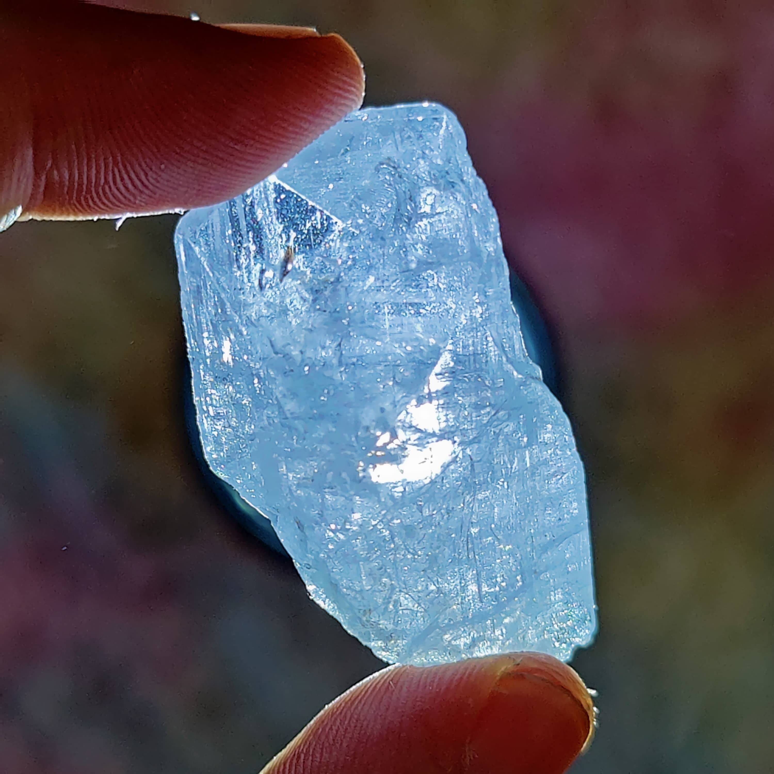 #195 Danburite ∞ 21.2g - PrimalAlchemy
