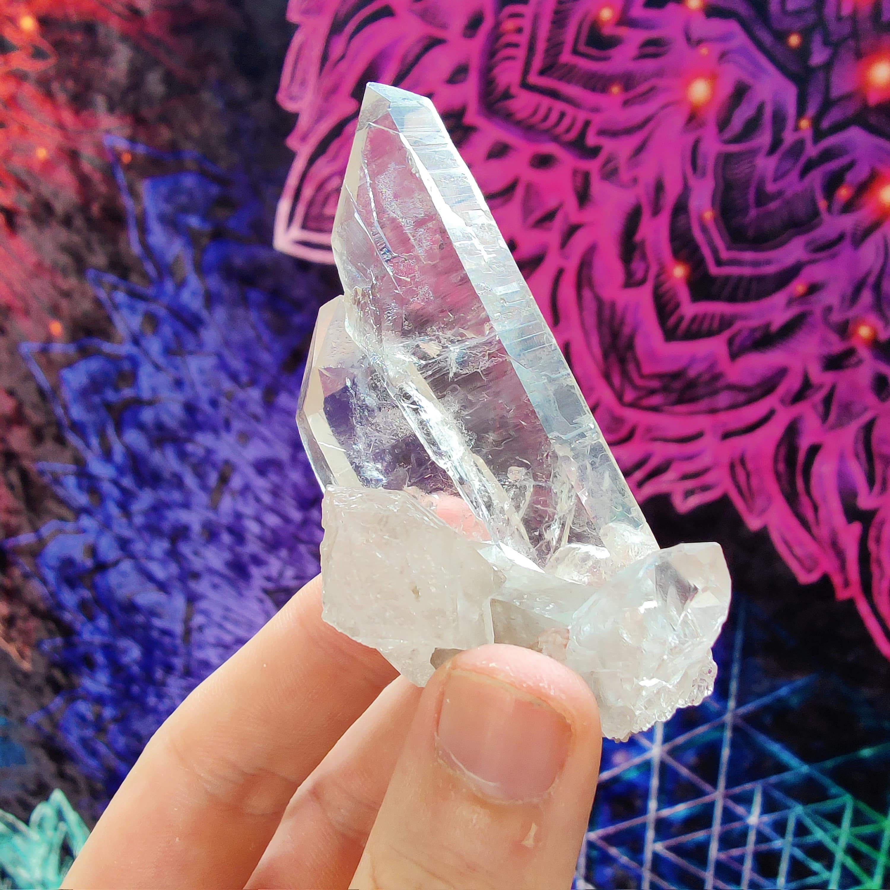 #197 Lemurian Seed Quartz ∞ 70g - PrimalAlchemy