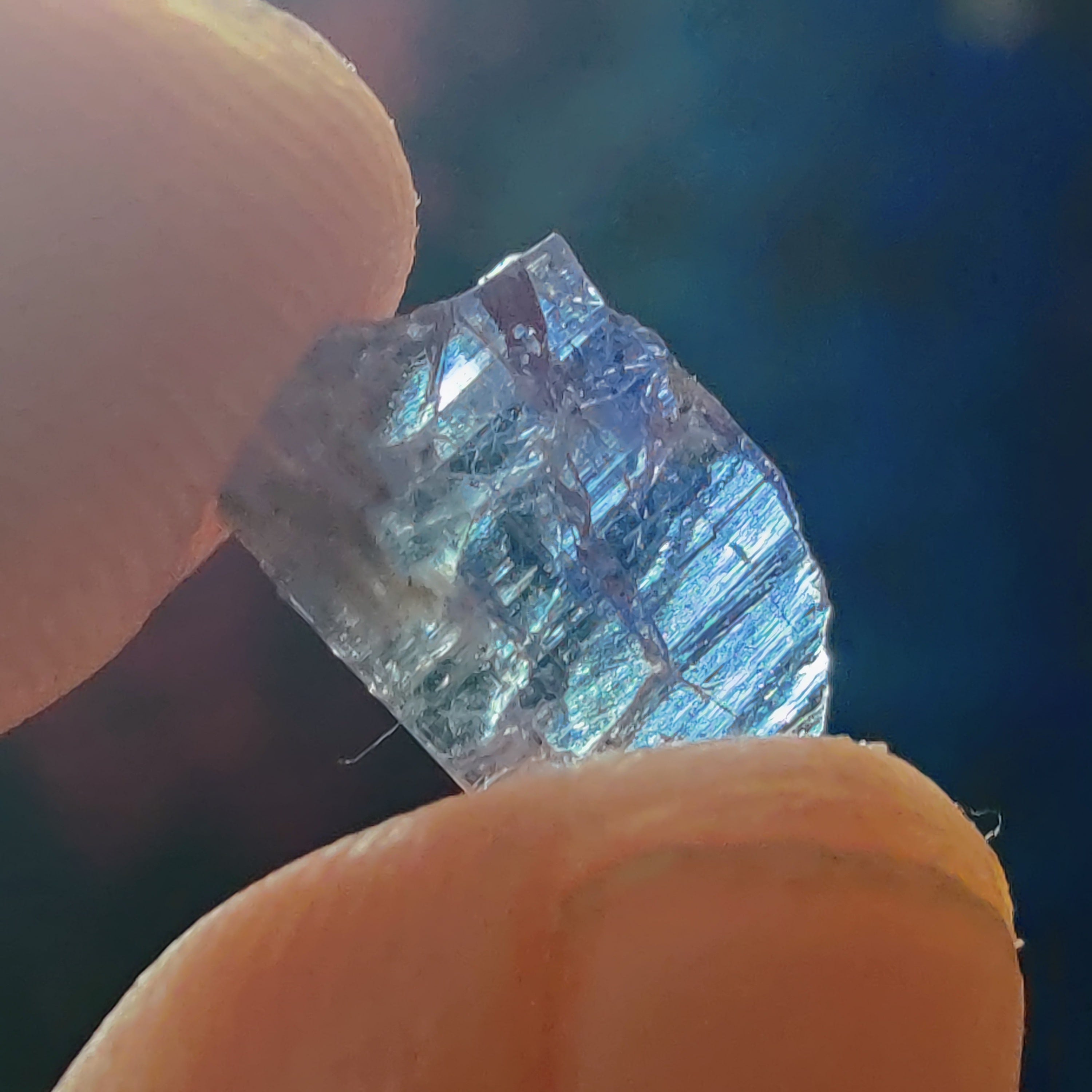 #240 Tanzanite ∞ 0.4g - PrimalAlchemy