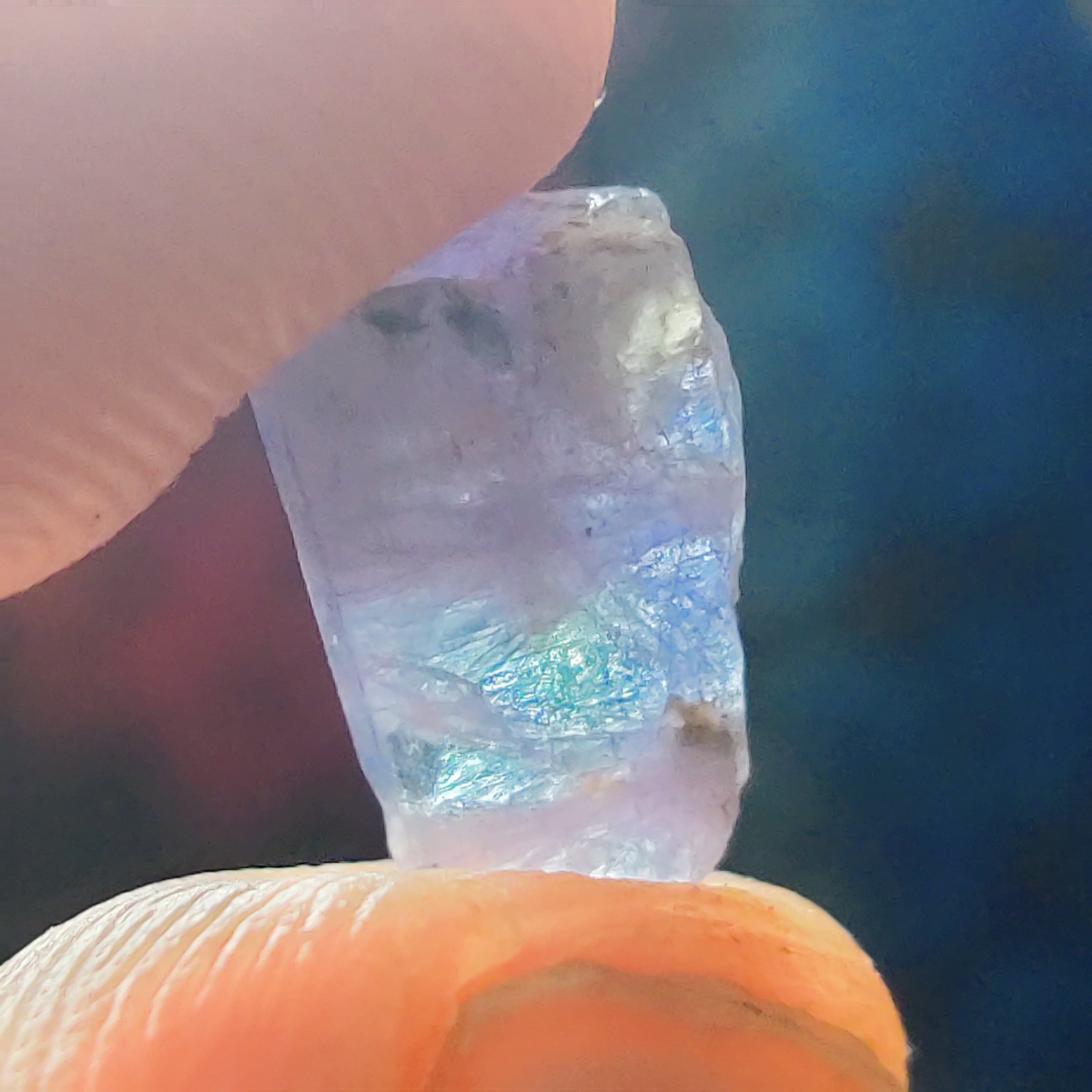 #241 Tanzanite ∞ 0.6g - PrimalAlchemy