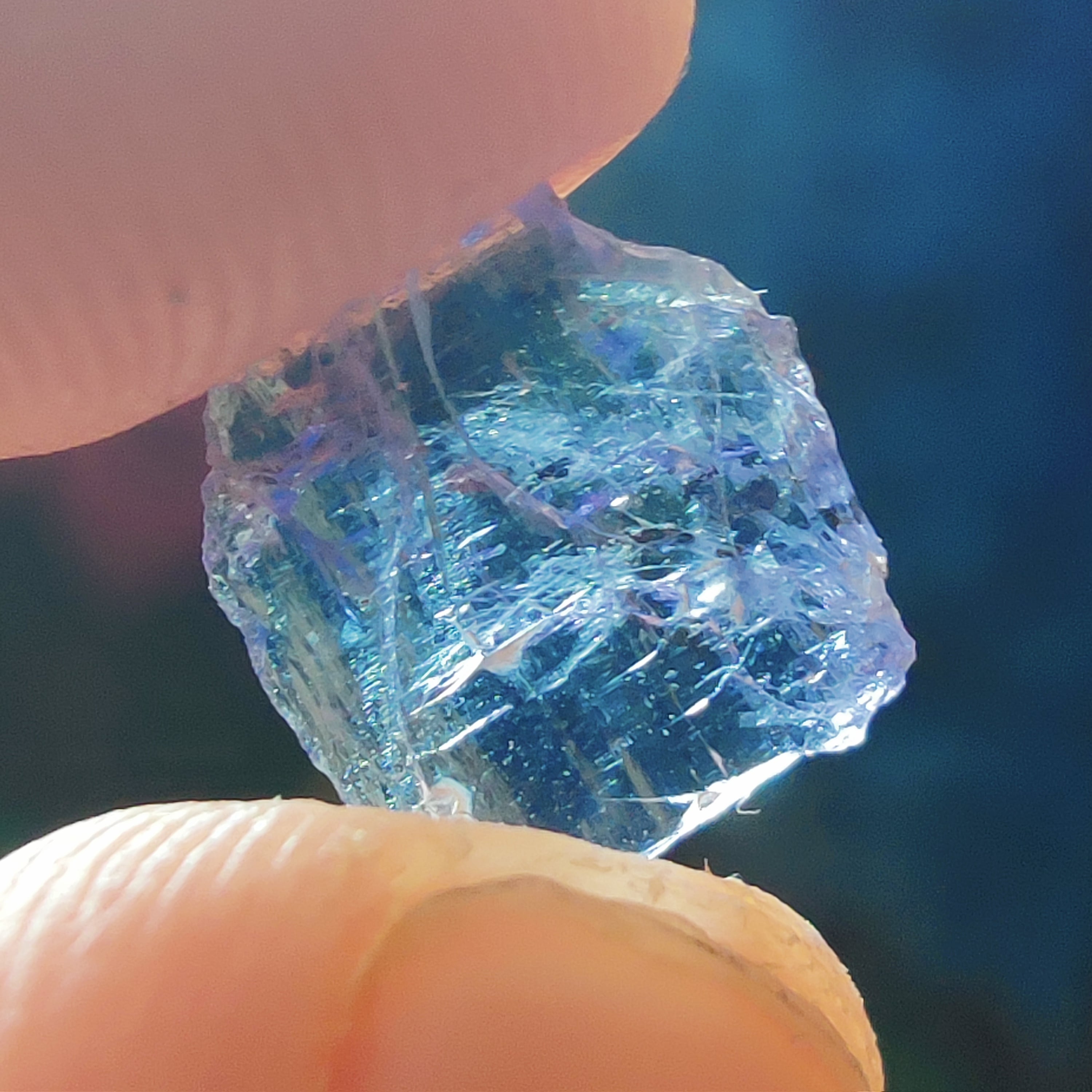 #243 Tanzanite ∞ 0.4g - PrimalAlchemy
