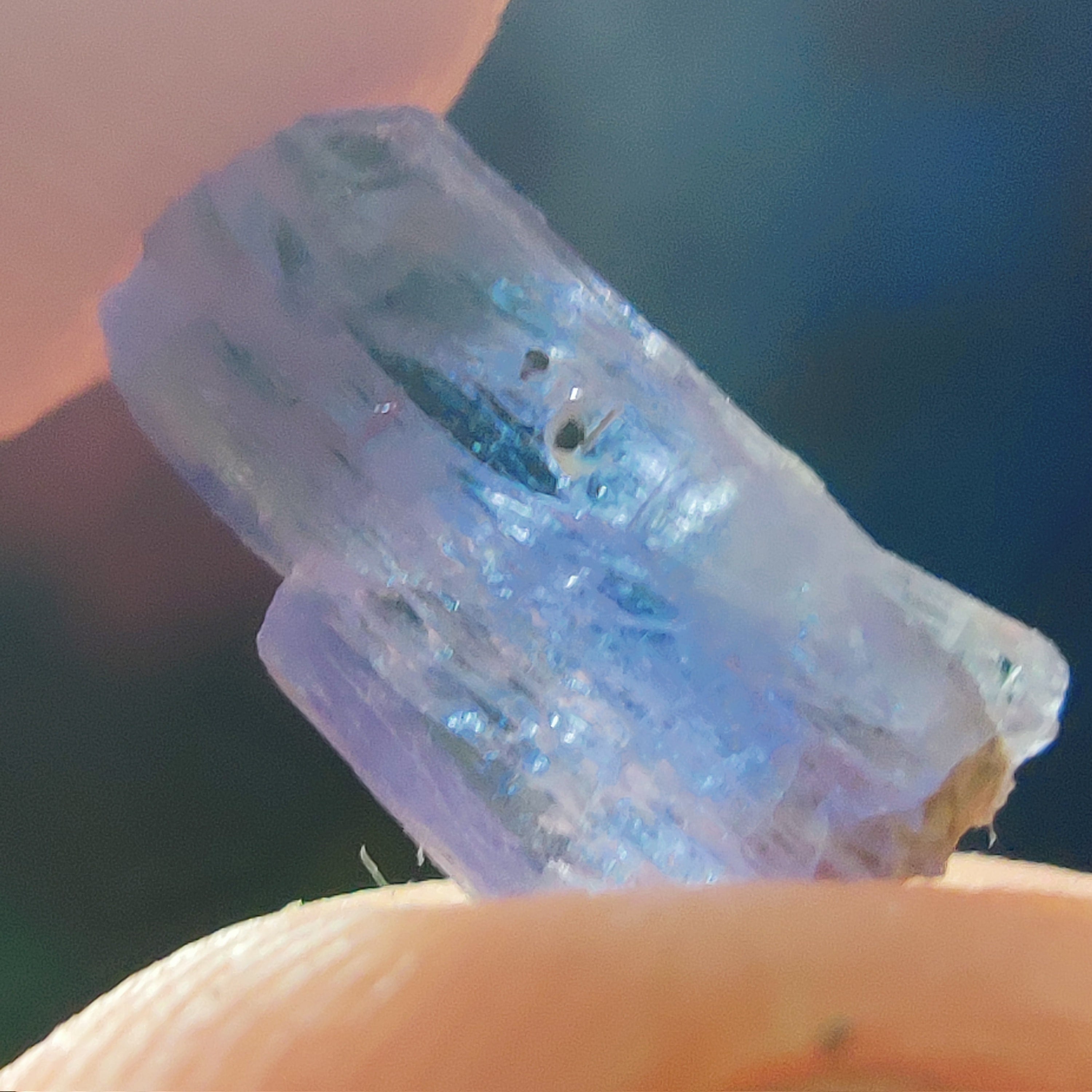 #244 Tanzanite ∞ 0.5g - PrimalAlchemy