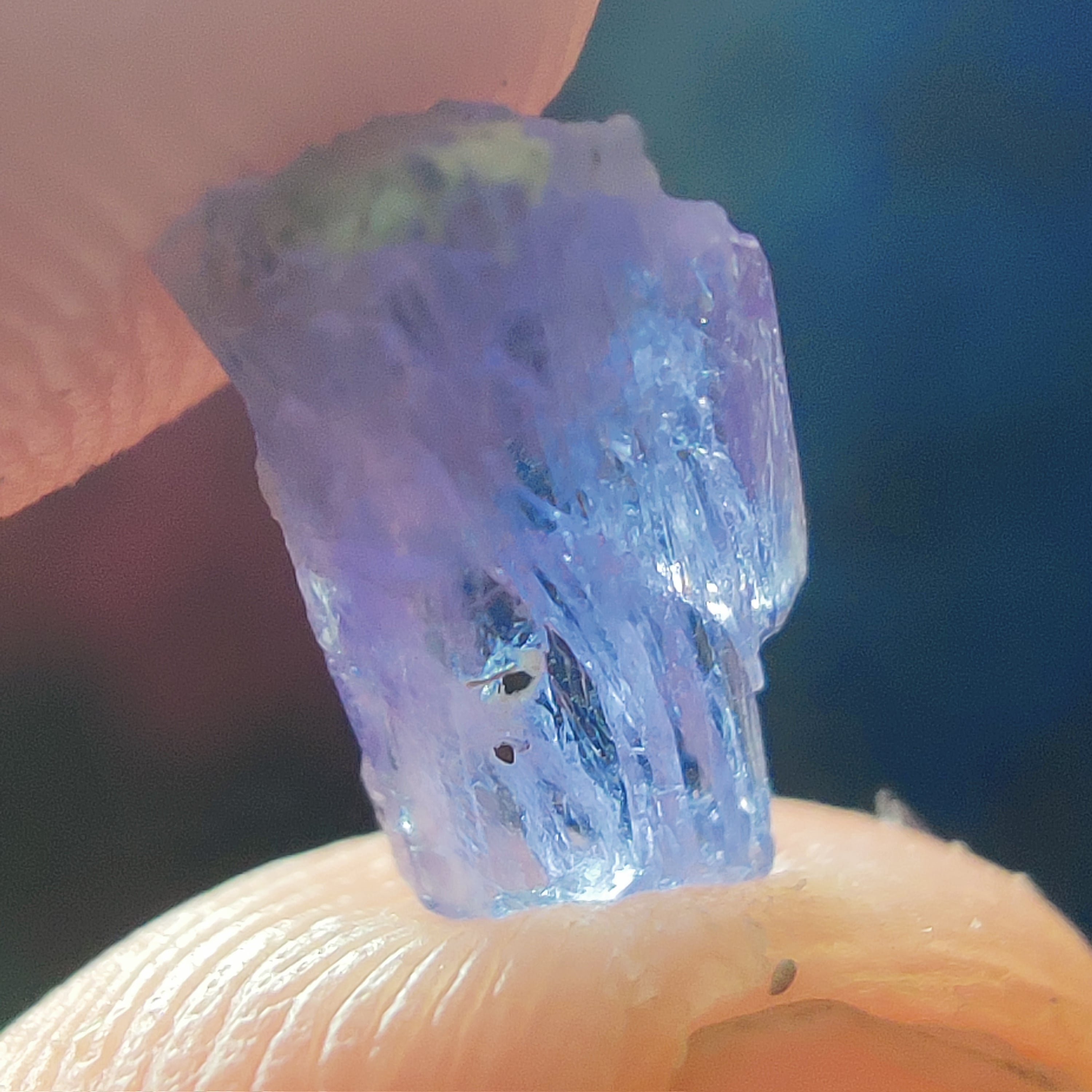 #244 Tanzanite ∞ 0.5g - PrimalAlchemy