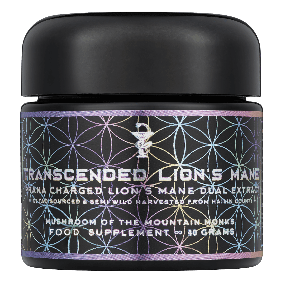 Transcended Lion's Mane ∞ Mushroom of the Mountain Monks - PrimalAlchemy