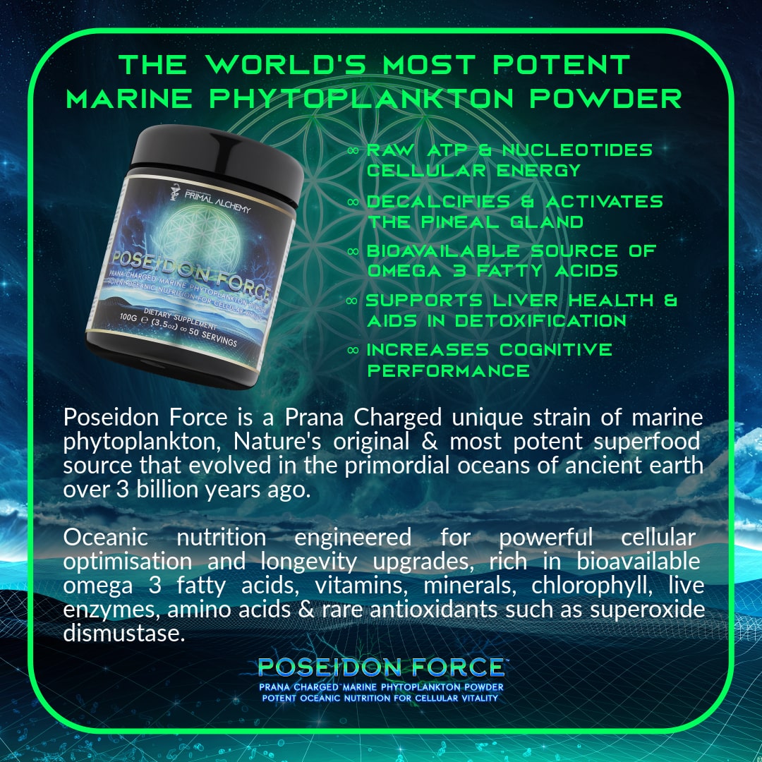 The Cellular Recharge Pack - PrimalAlchemy