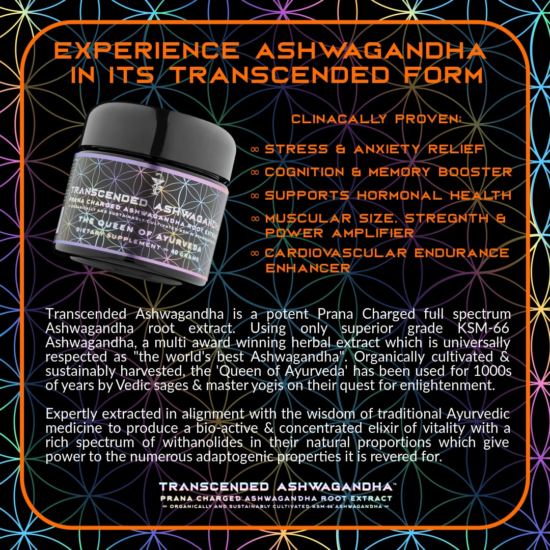 The Cognitive Rewire Pack - PrimalAlchemy