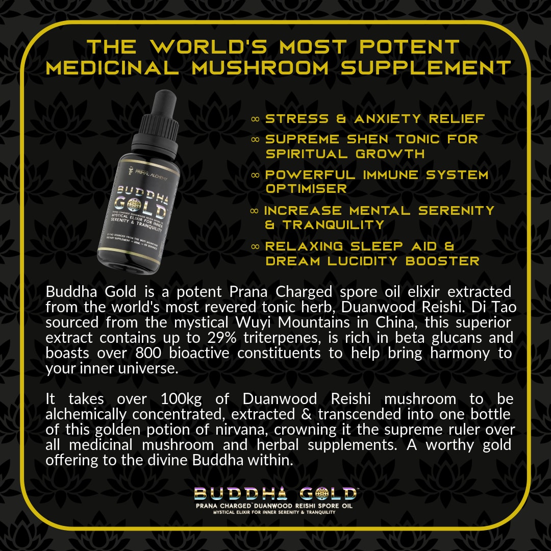 The Cognitive Rewire Pack - PrimalAlchemy