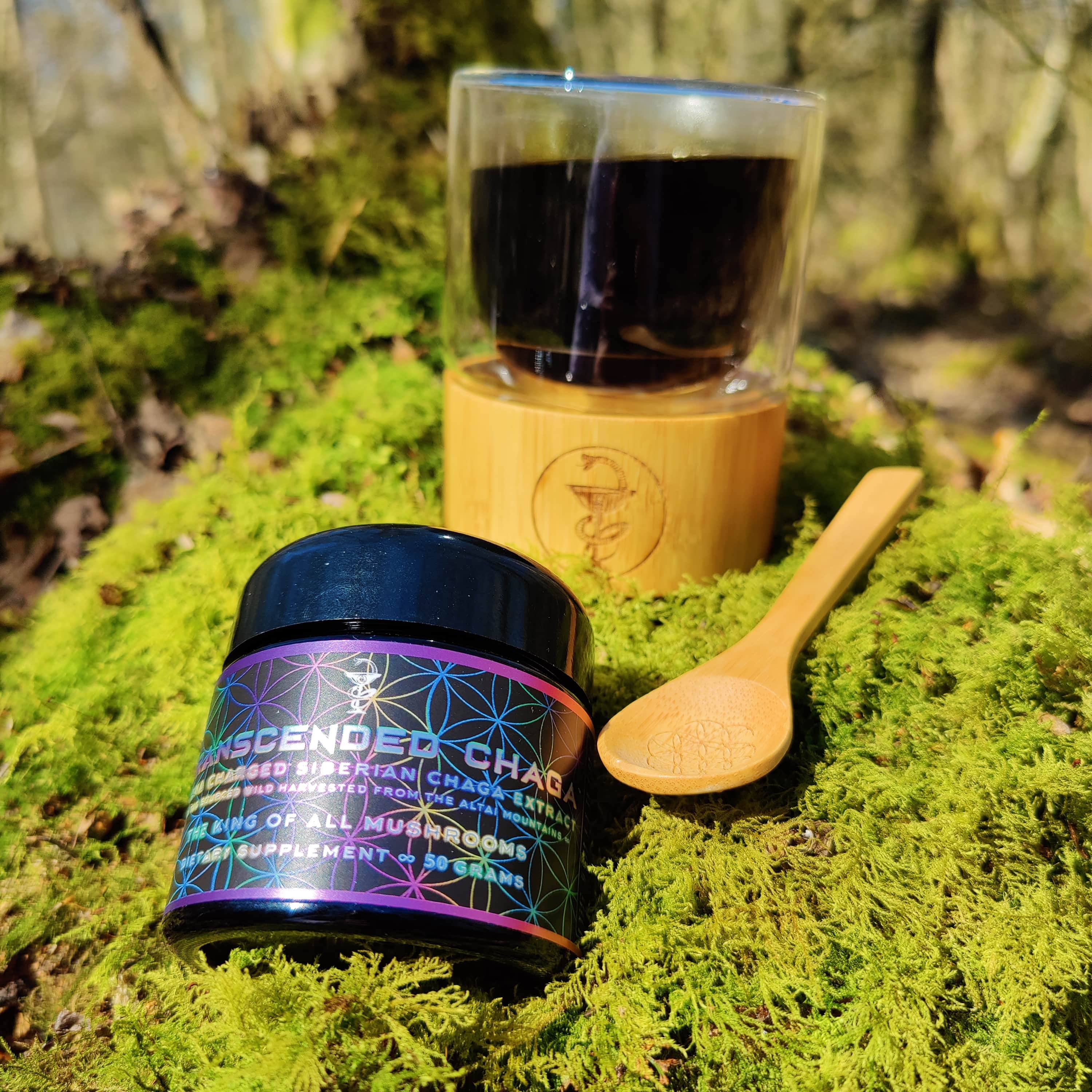 Jacob's Mushroom Trinity Pack - PrimalAlchemy