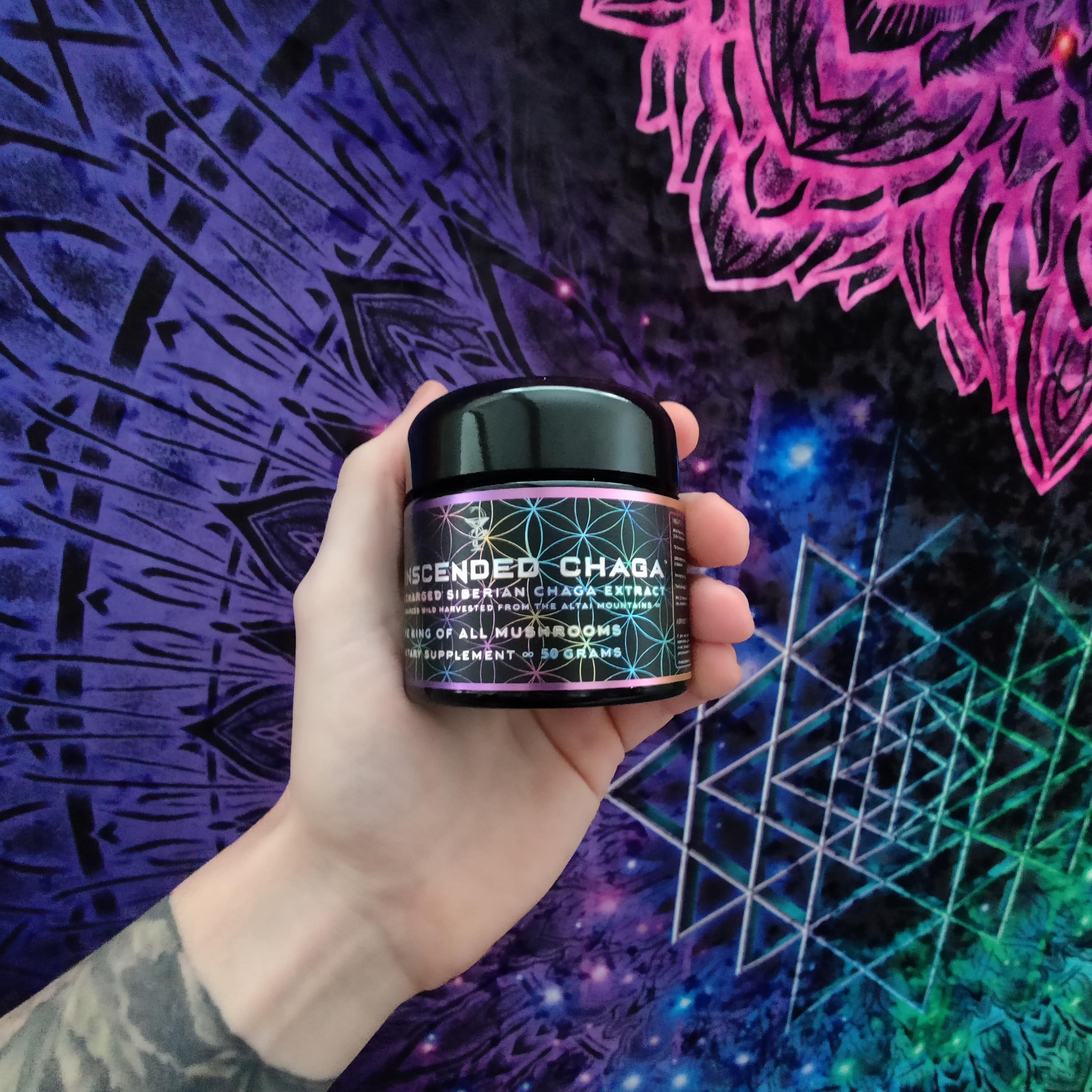 Jacob's Mushroom Trinity Pack - PrimalAlchemy