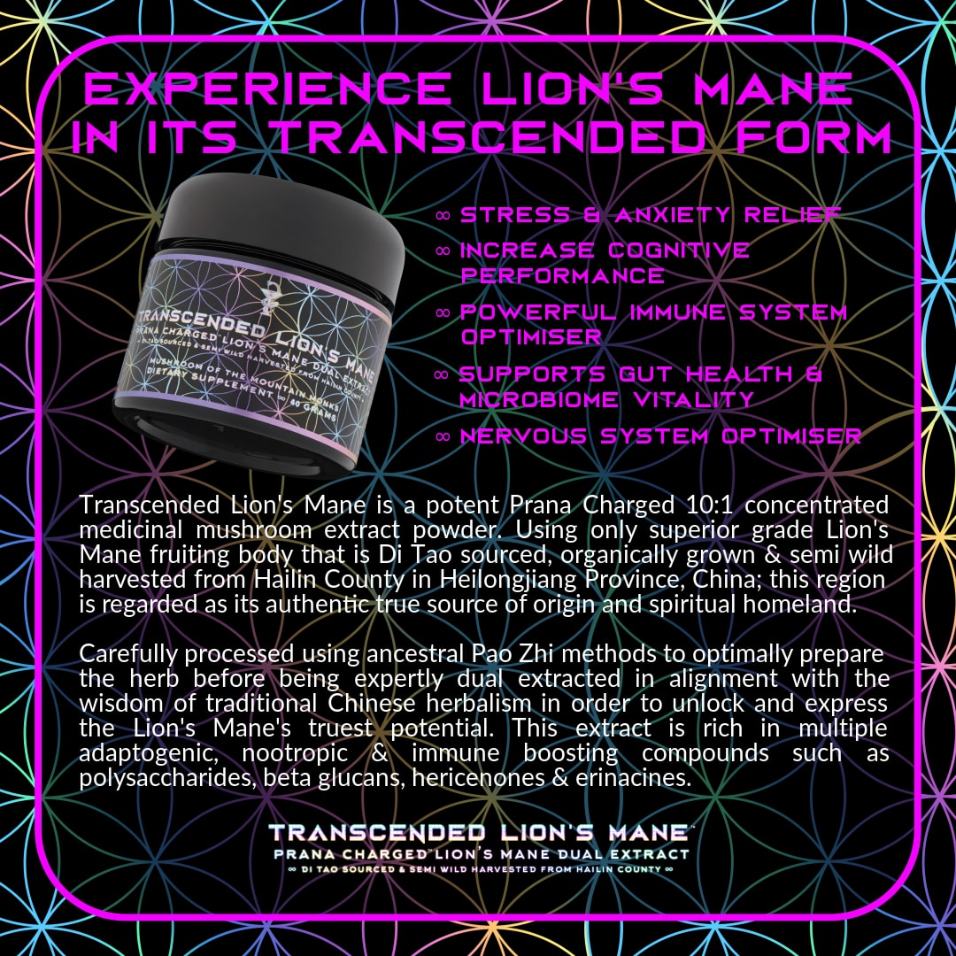 Jacob's Mushroom Trinity Pack - PrimalAlchemy