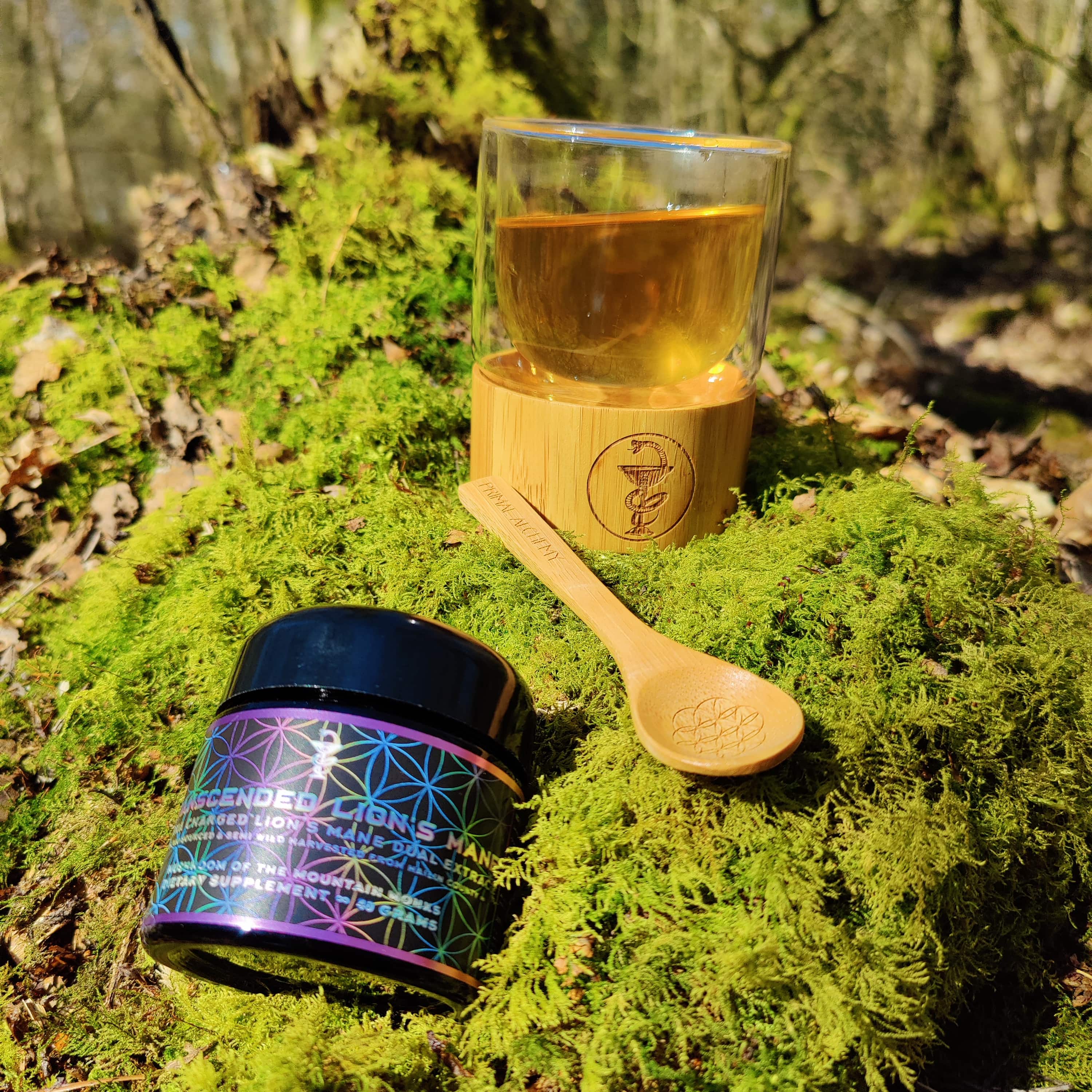 Jacob's Mushroom Trinity Pack - PrimalAlchemy