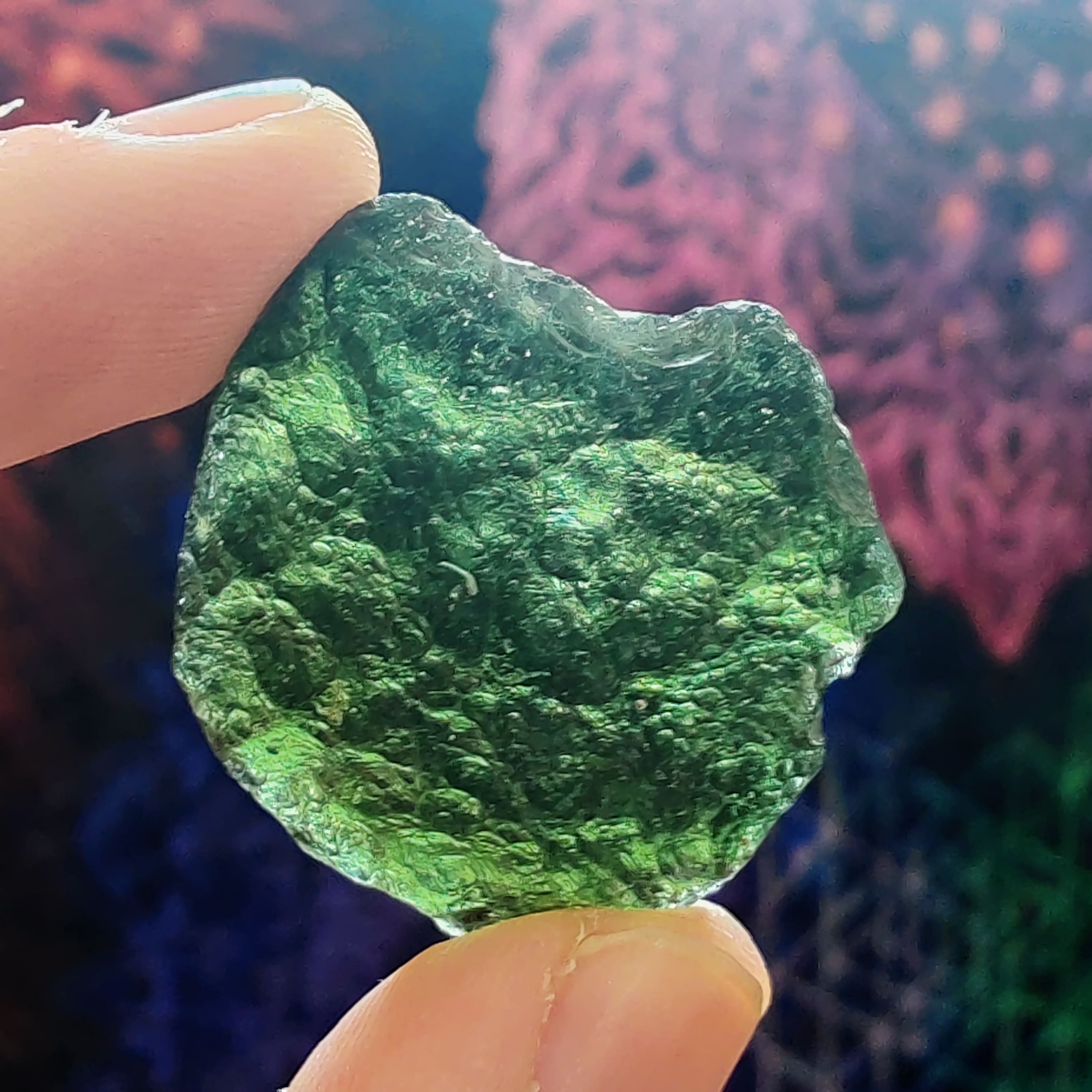 #42 Moldavite (Museum Grade) ∞ 10.7g - PrimalAlchemy