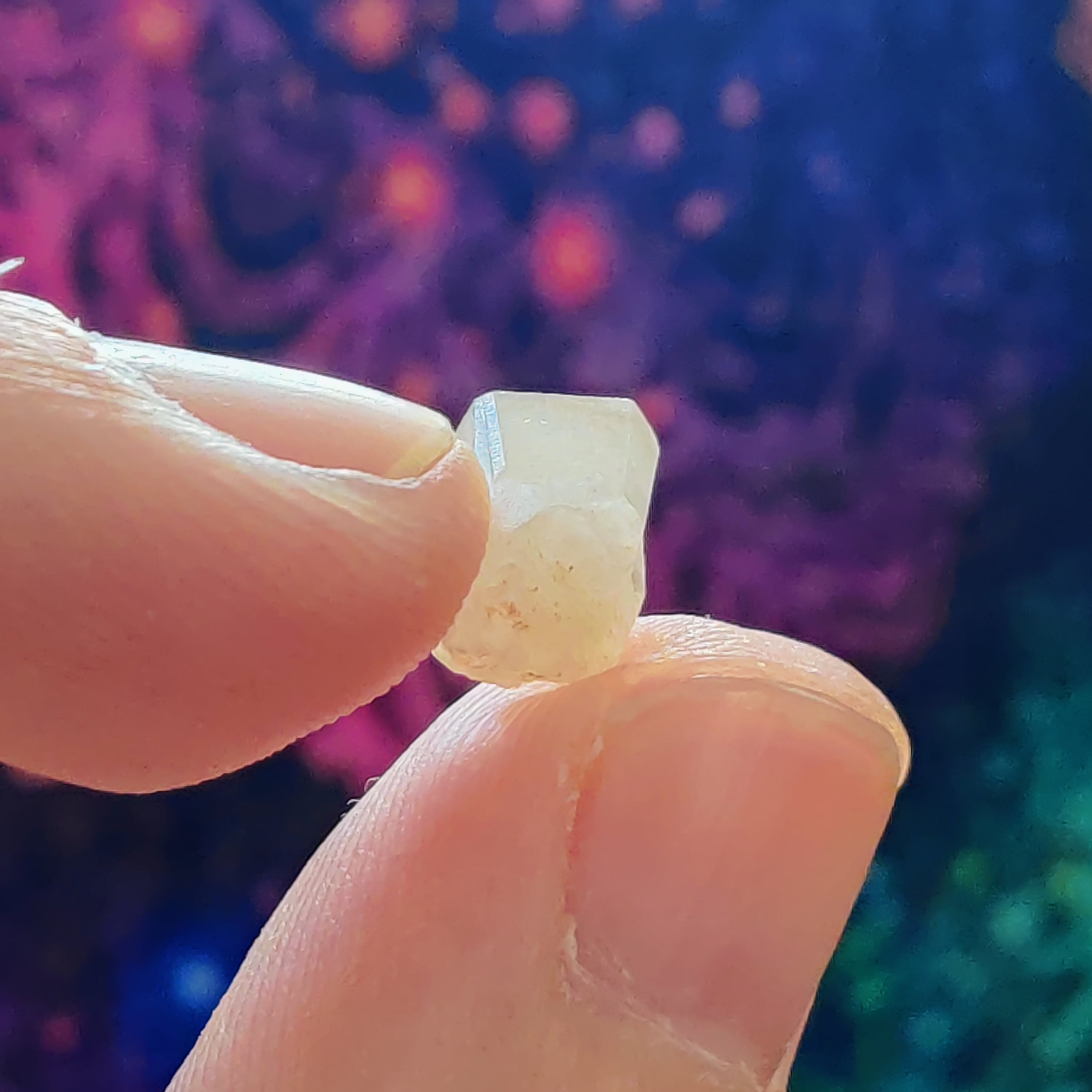 #50 Phenacite ∞ 0.7g - PrimalAlchemy