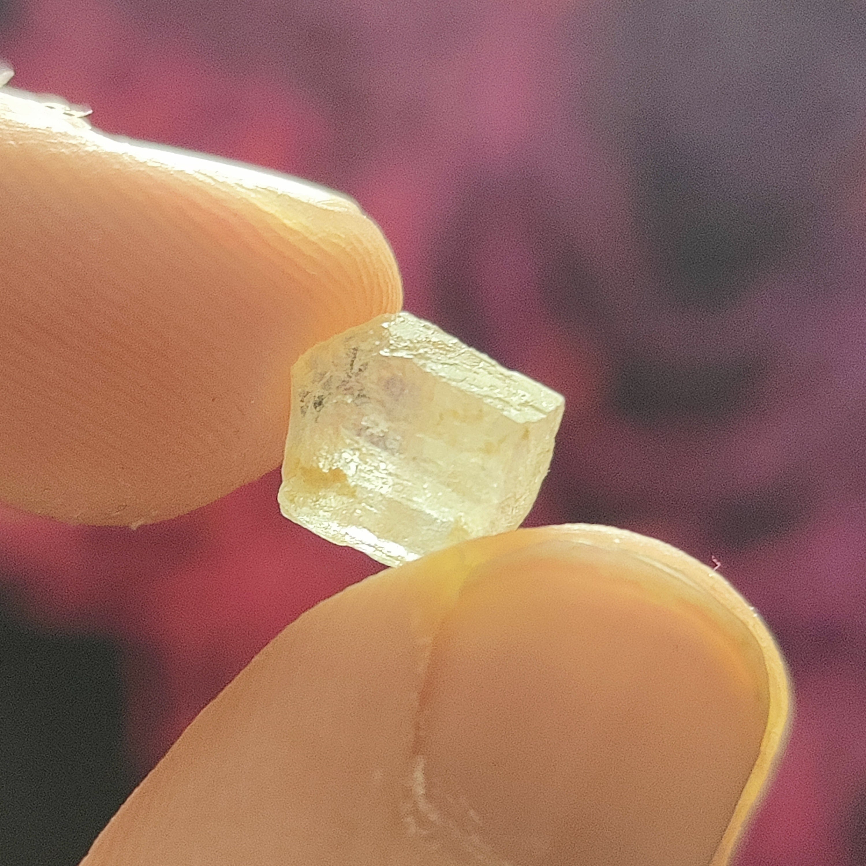 #51 Phenacite ∞ 1g - PrimalAlchemy