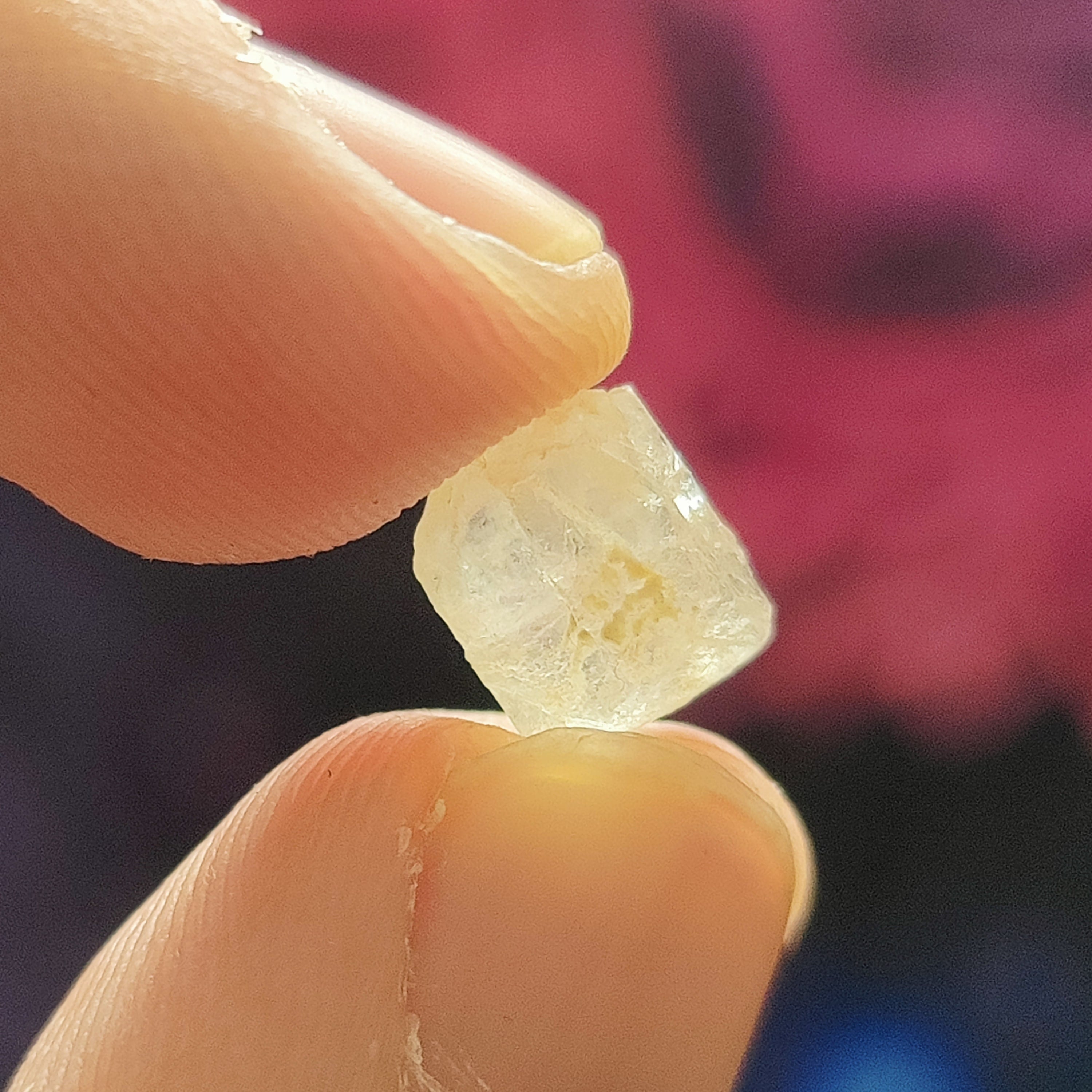 #51 Phenacite ∞ 1g - PrimalAlchemy