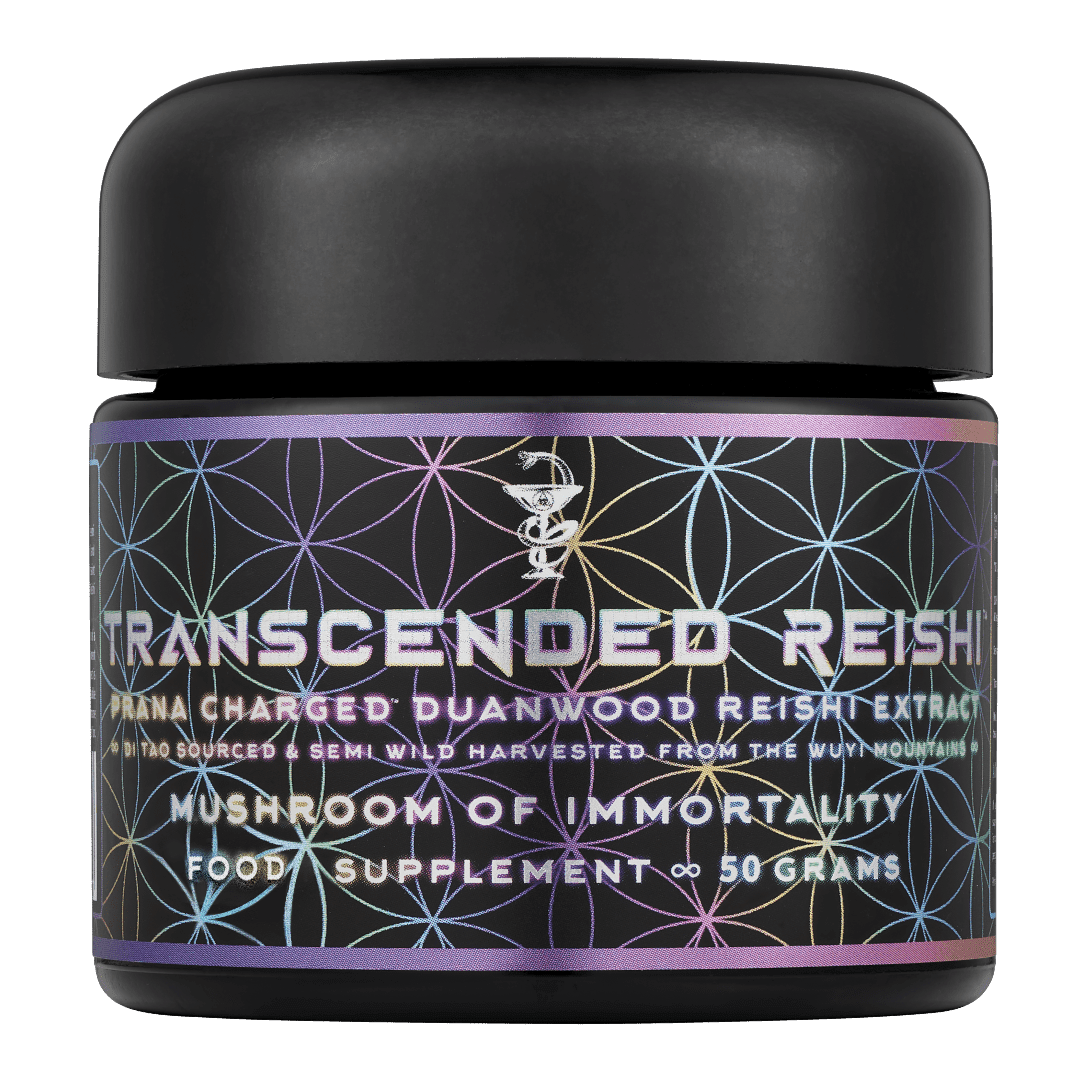 Transcended Reishi ∞ Mushroom of Immortality - PrimalAlchemy