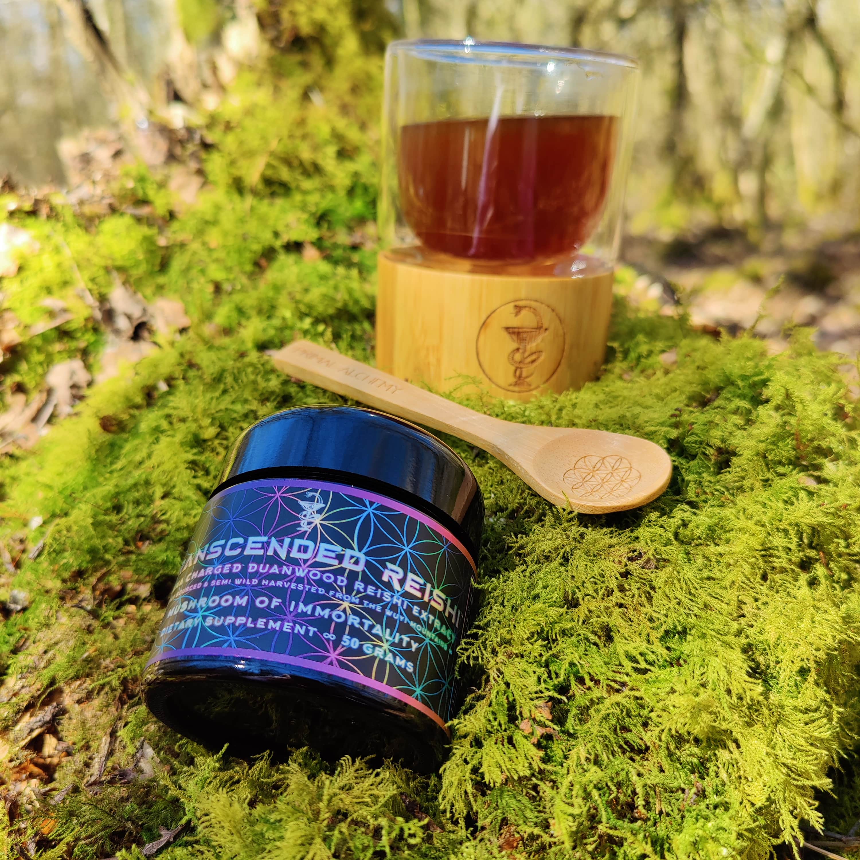 Jacob's Mushroom Trinity Pack - PrimalAlchemy