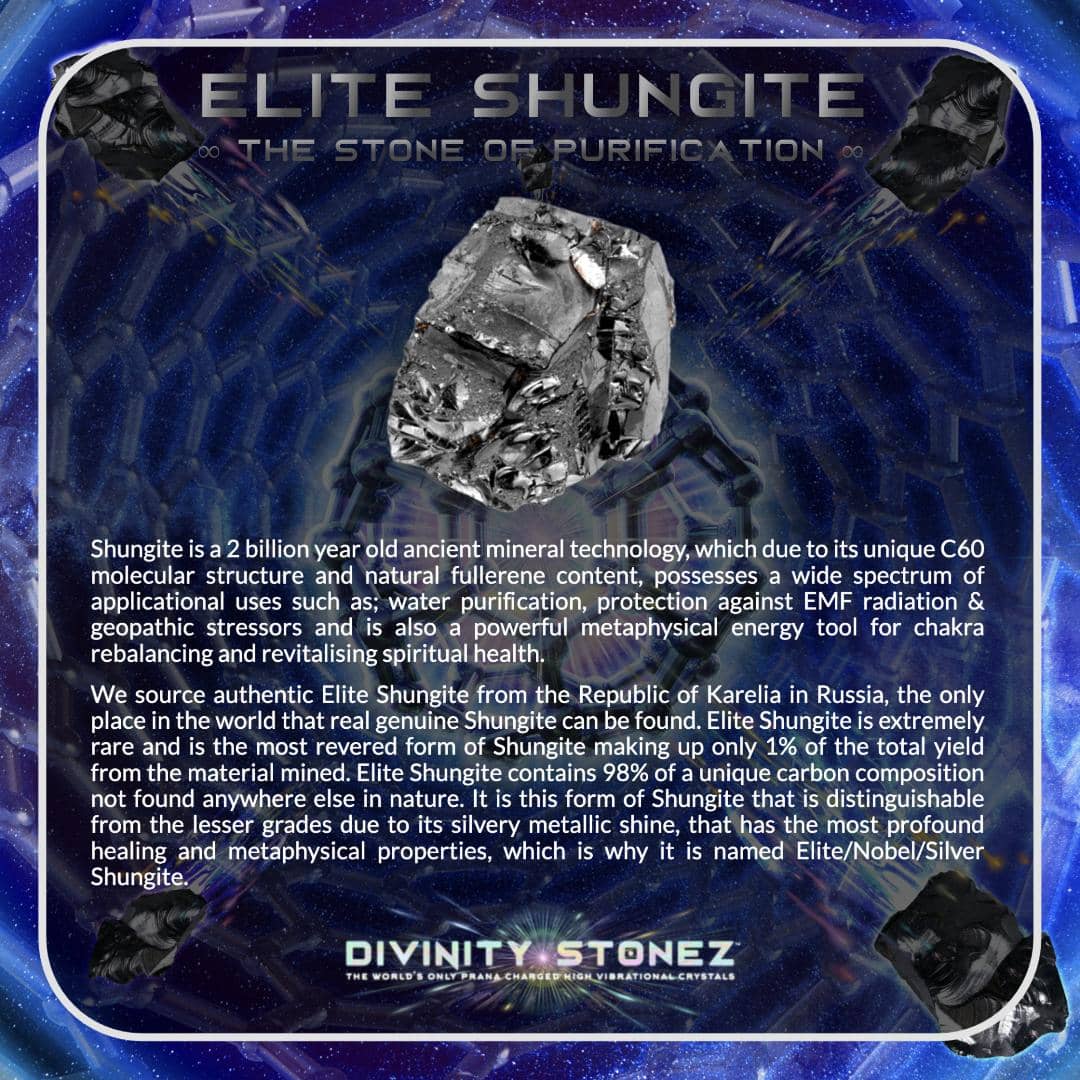 #199 Elite Shungite ∞ 132.0g - PrimalAlchemy