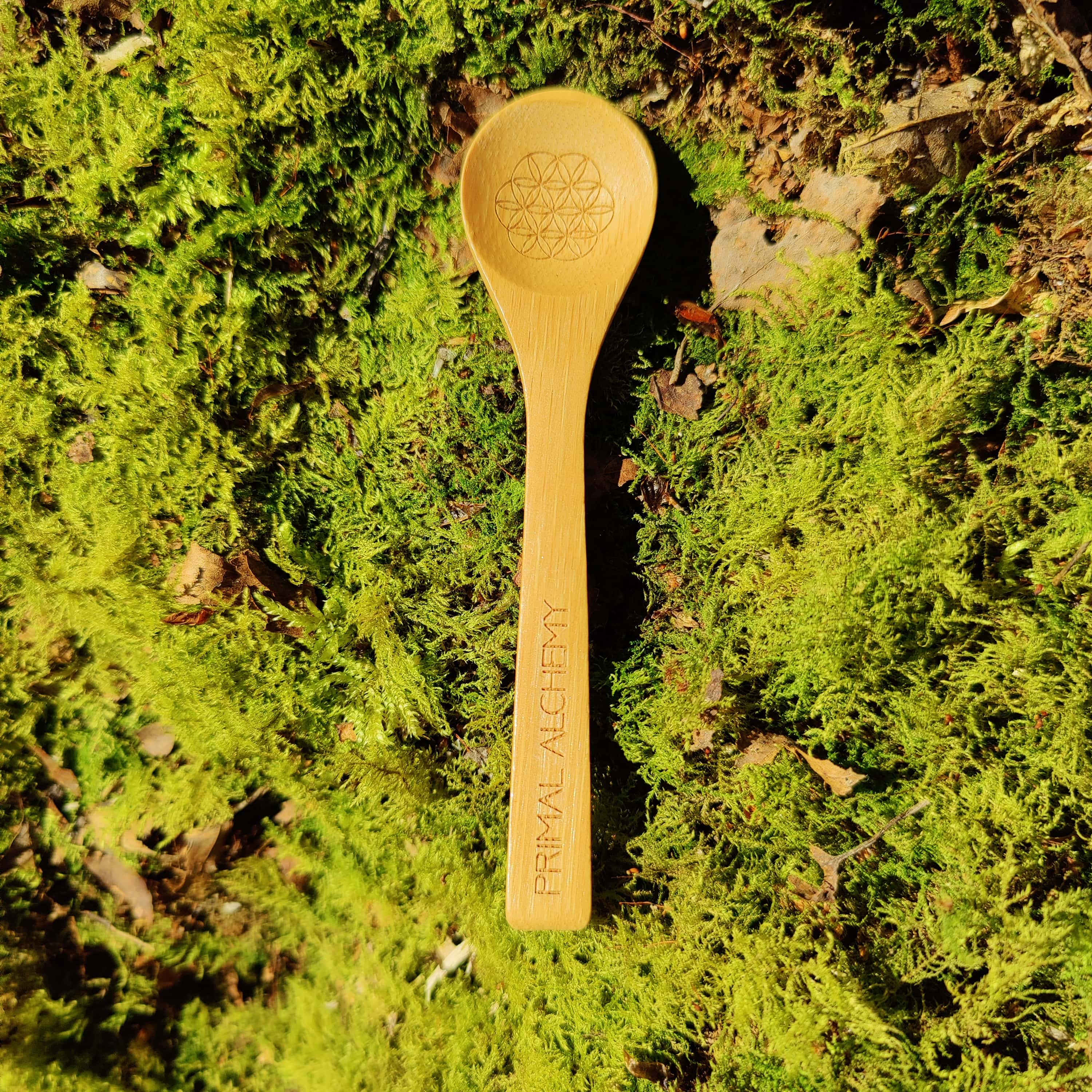 Bamboo Herbal Elixir Glass - PrimalAlchemy