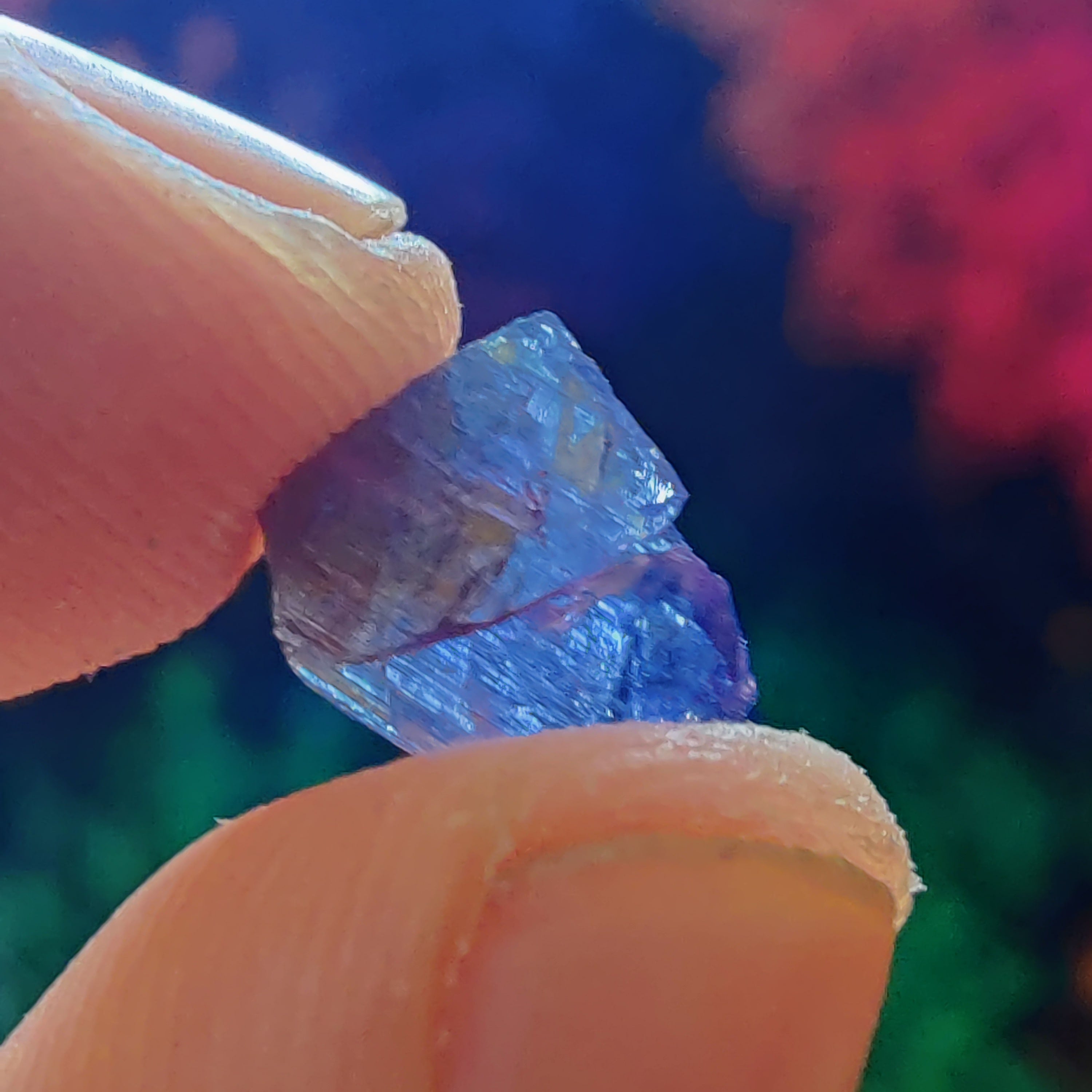 #178 Tanzanite ∞ 0.8g - PrimalAlchemy