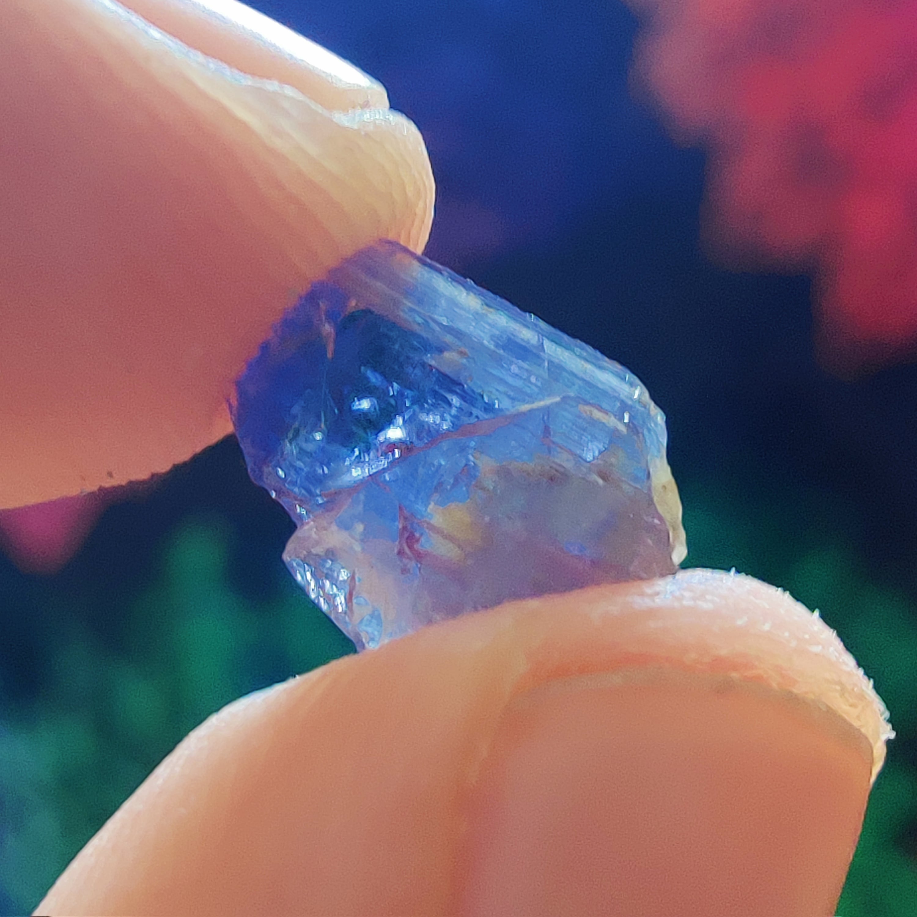 #178 Tanzanite ∞ 0.8g - PrimalAlchemy