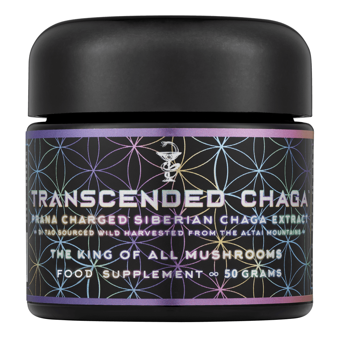 Transcended Chaga ∞ The King of all Mushrooms - PrimalAlchemy